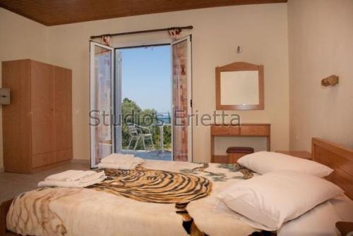 Studio (2 Adults) photo 3