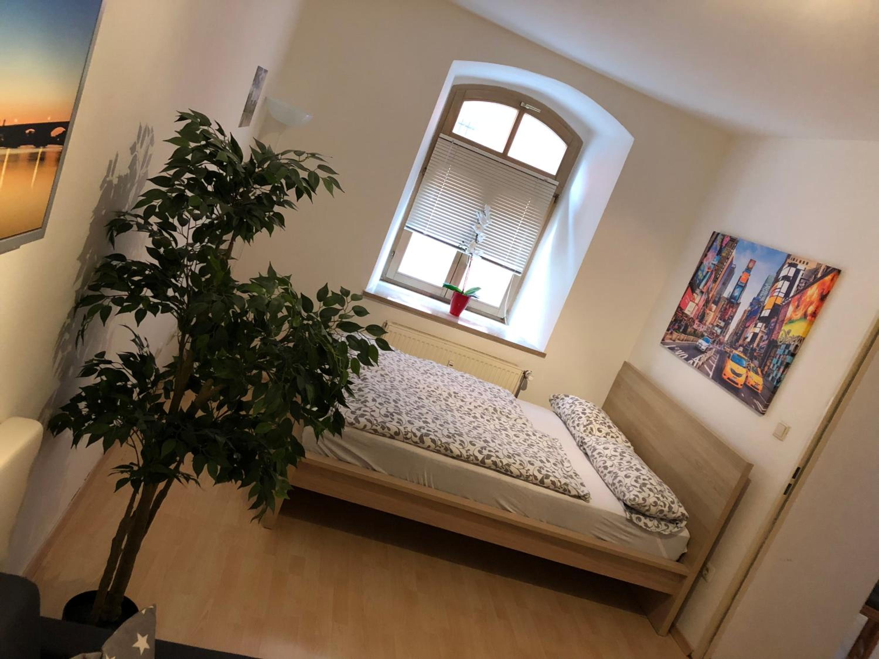 Studio Apartment - Photo 12