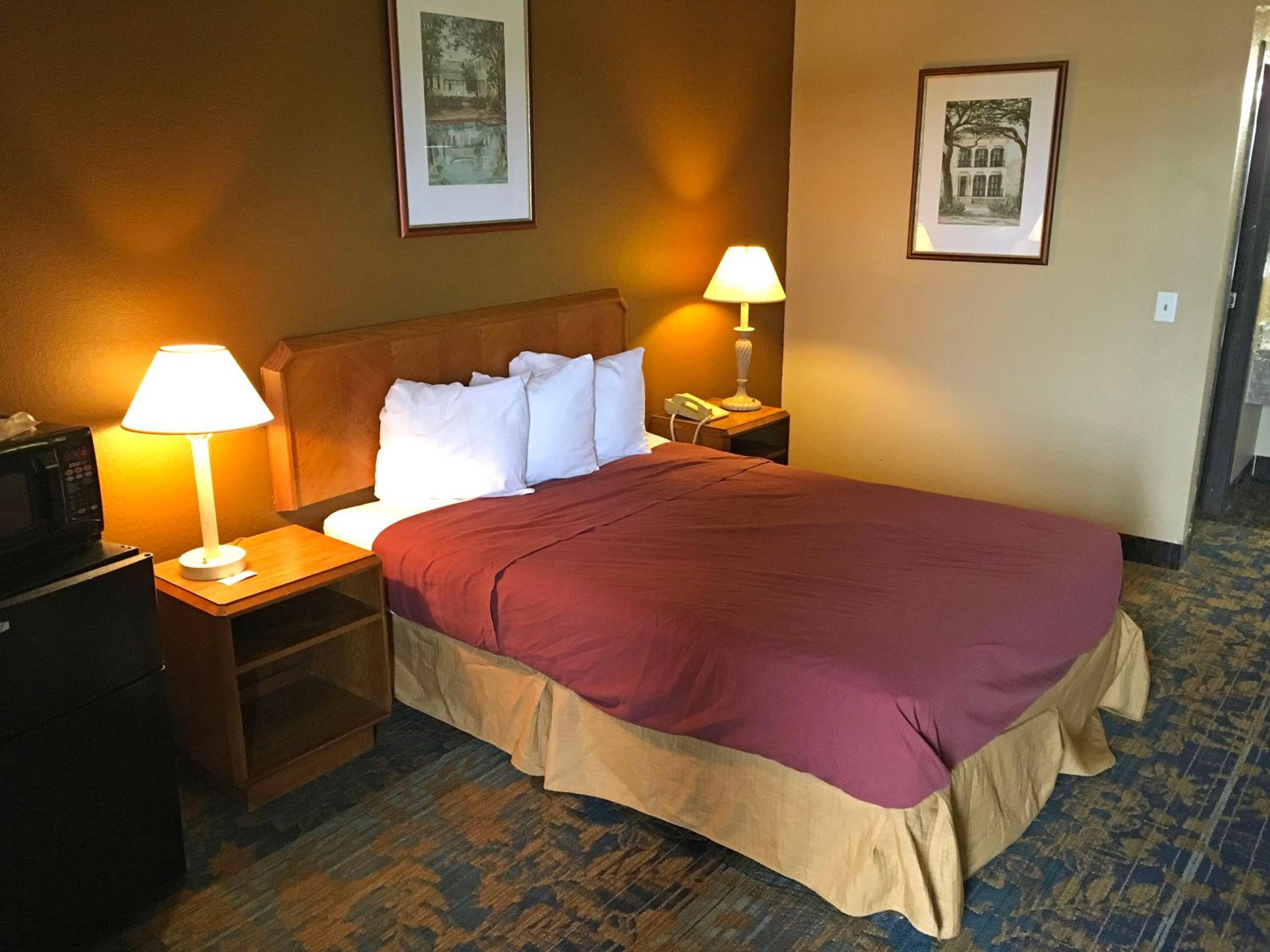 Queen Room - Photo 1