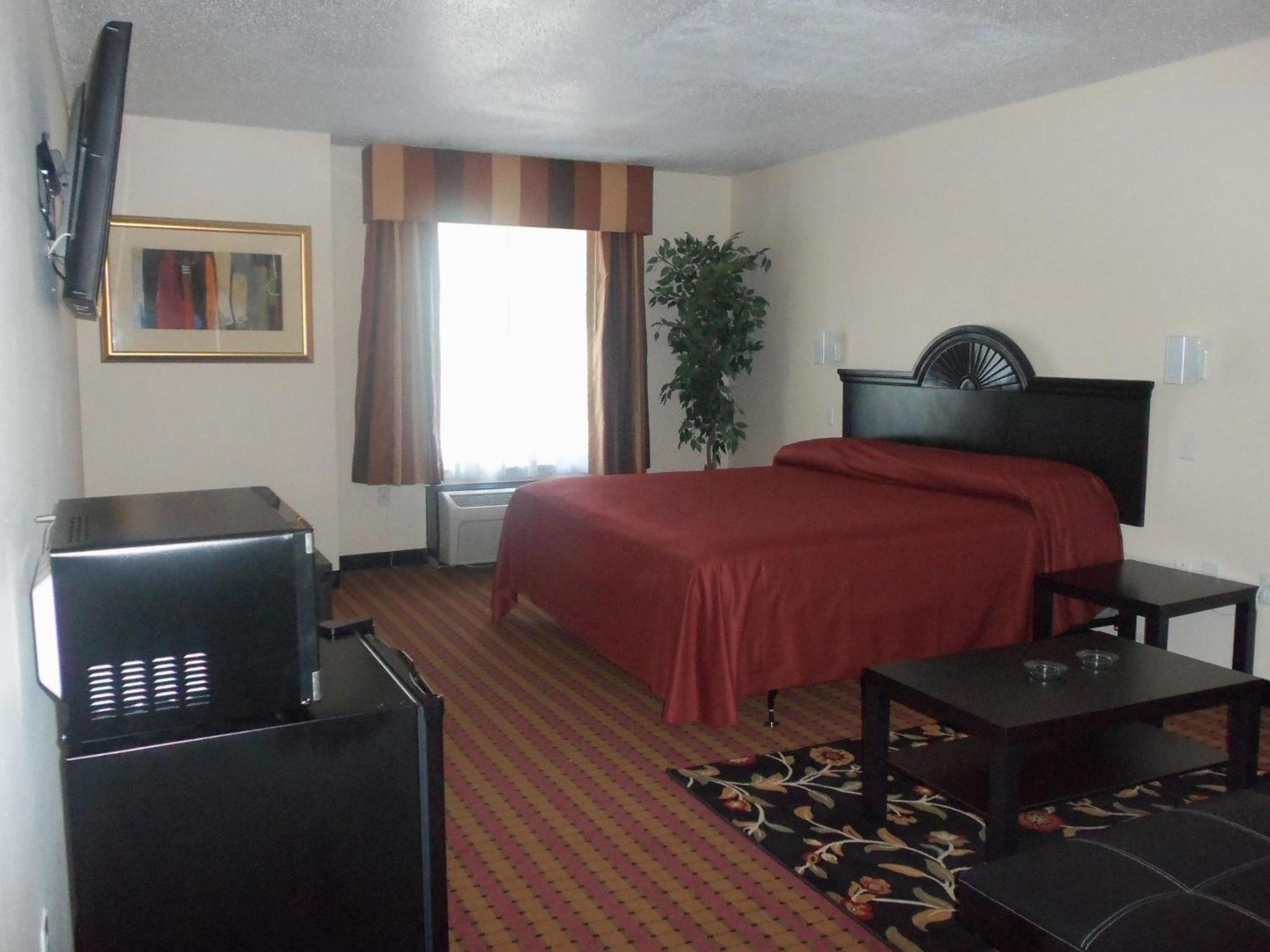 Deluxe King Suite - Photo 9