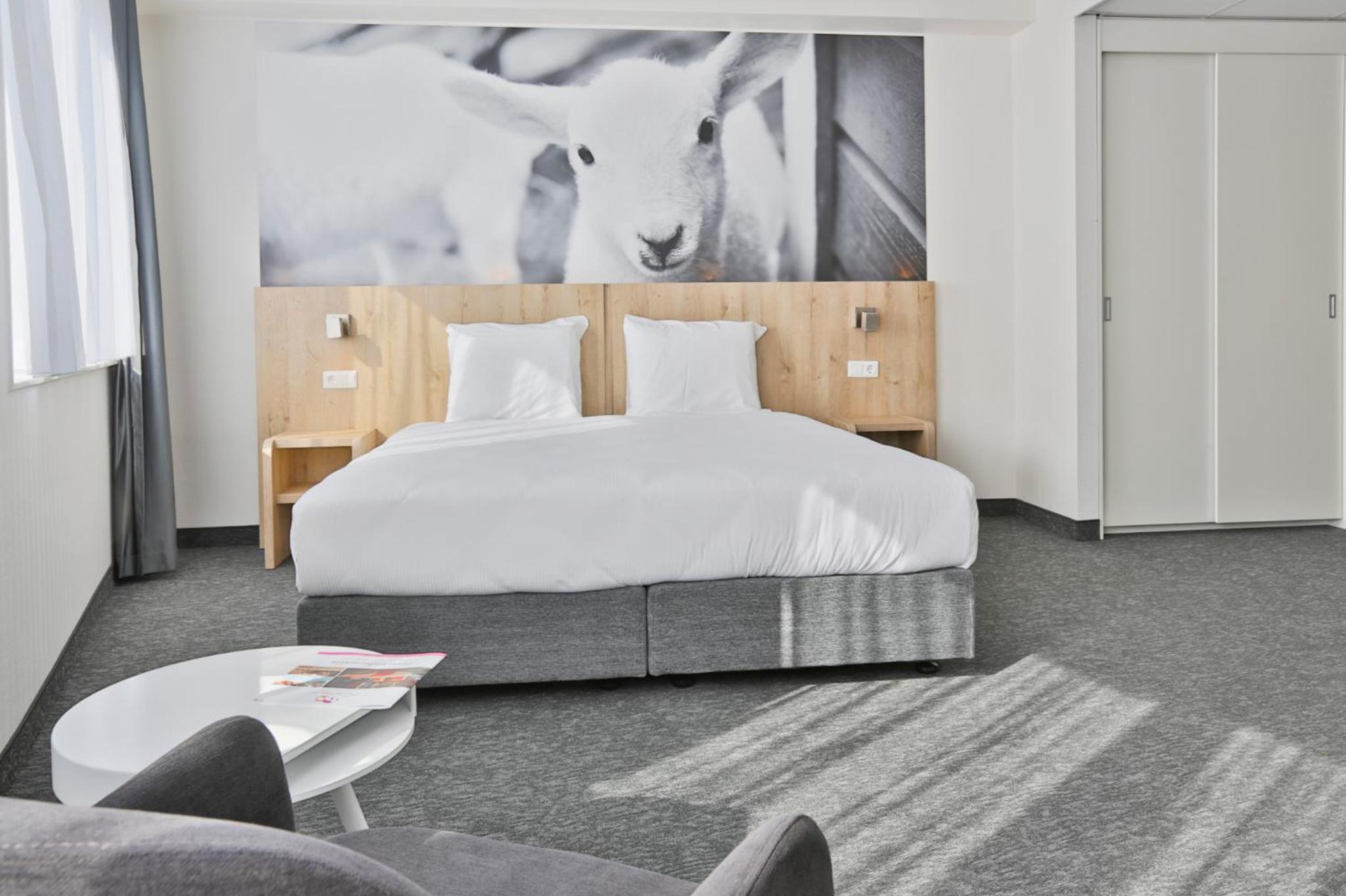 Deluxe Room photo 3