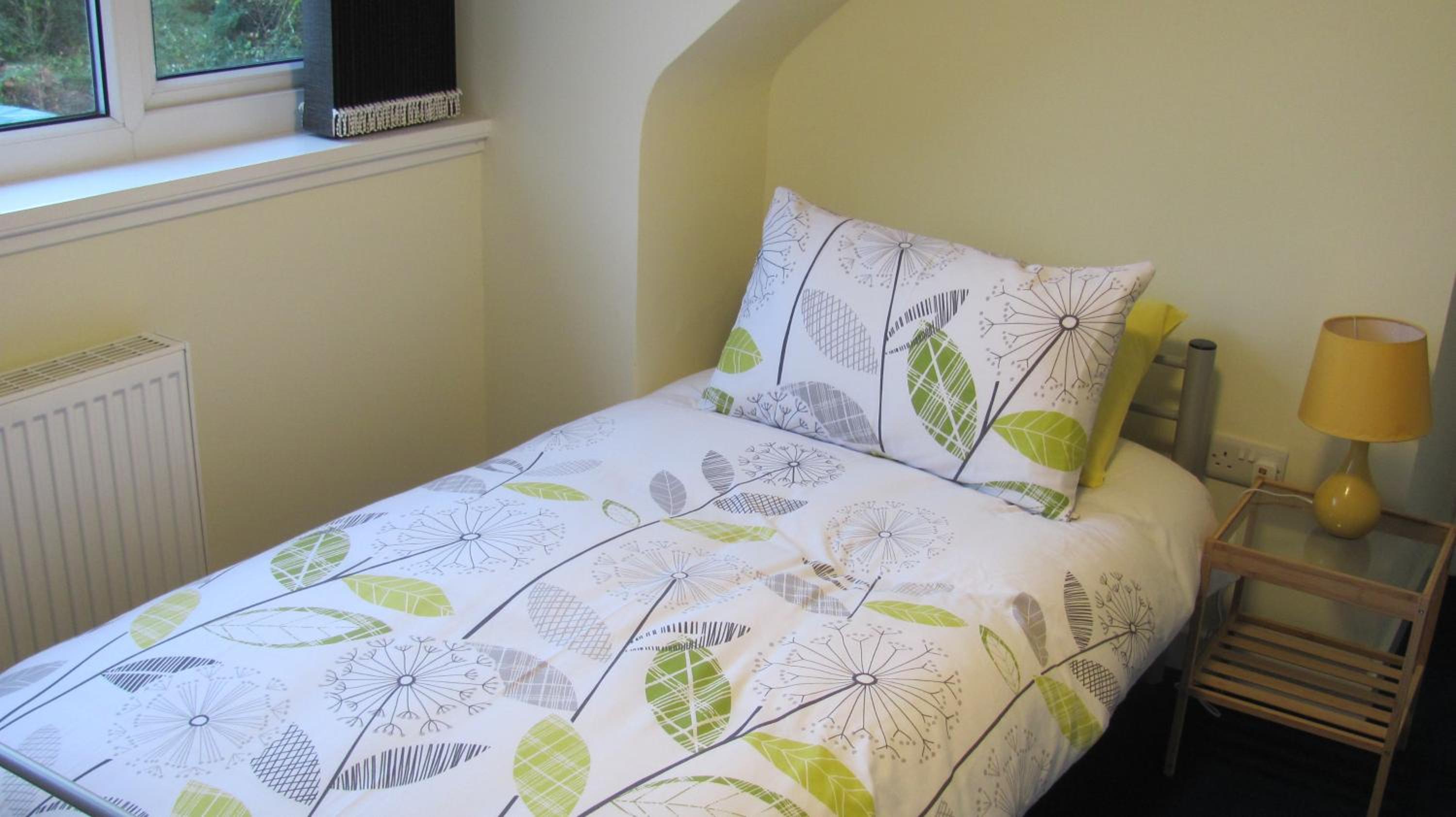 Large Single Room photo 2