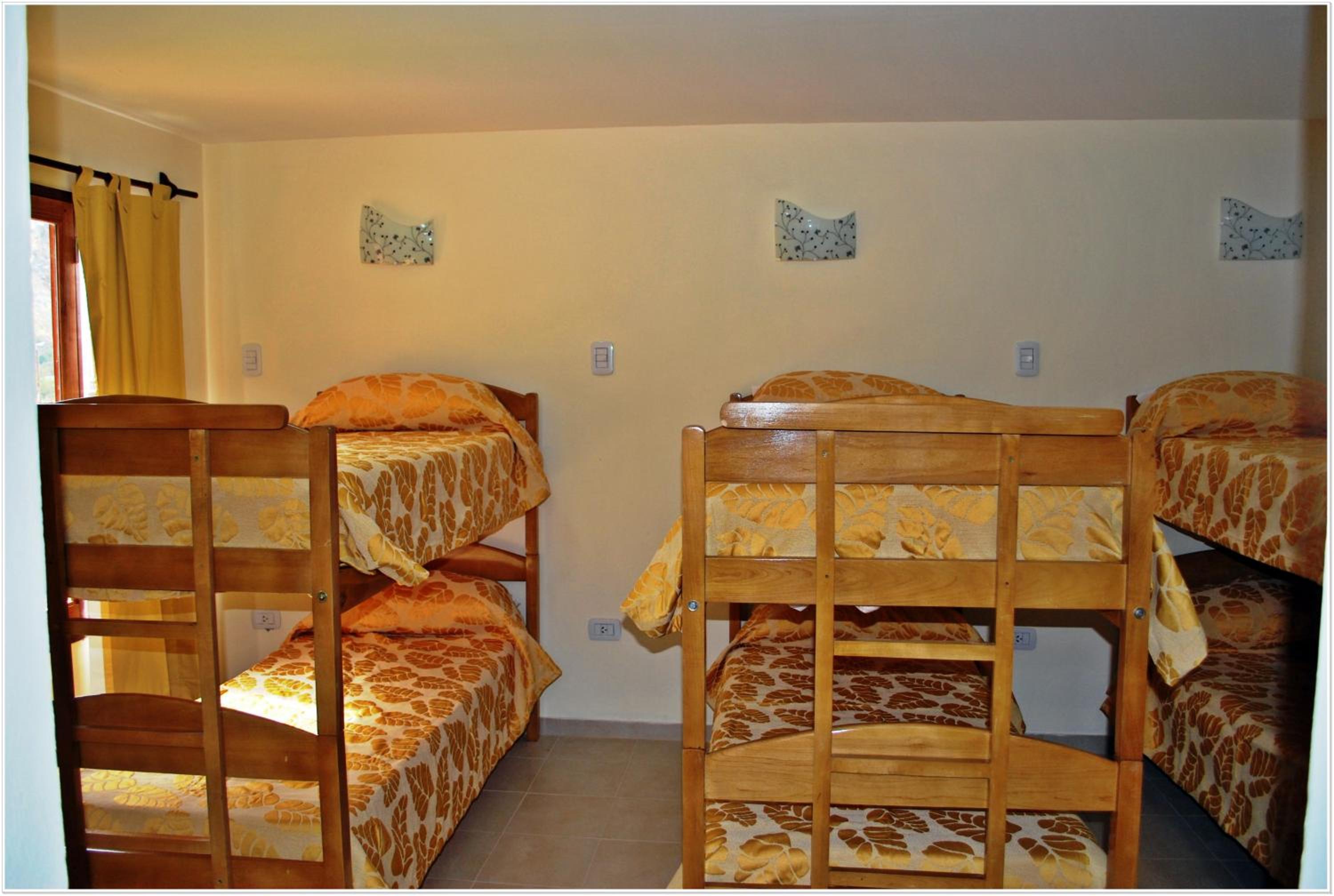 Single Bed in 6-Bed Dormitory Room photo 3