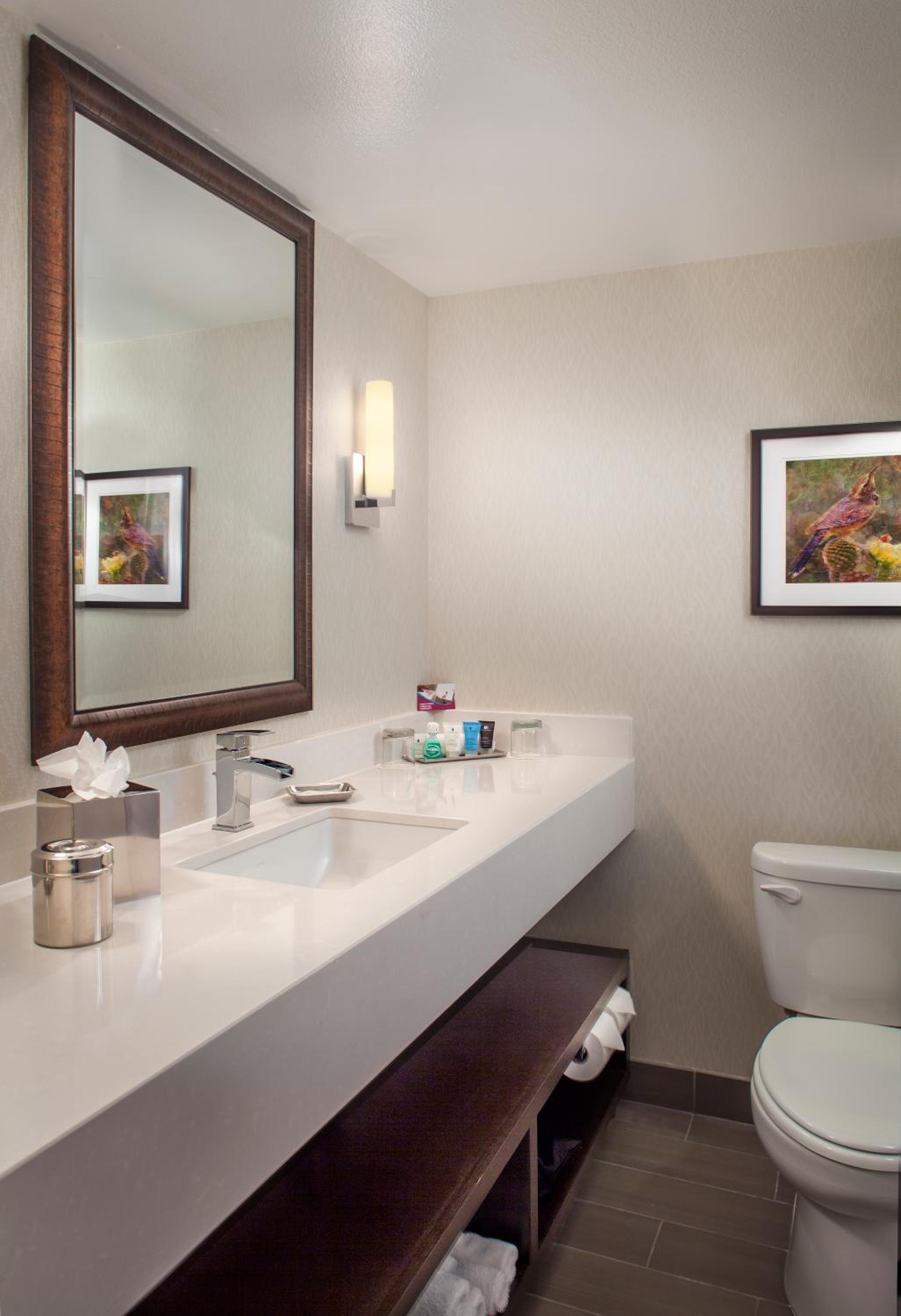 Standard Queen Room with Communications Accessible Roll-In Shower - Photo 4