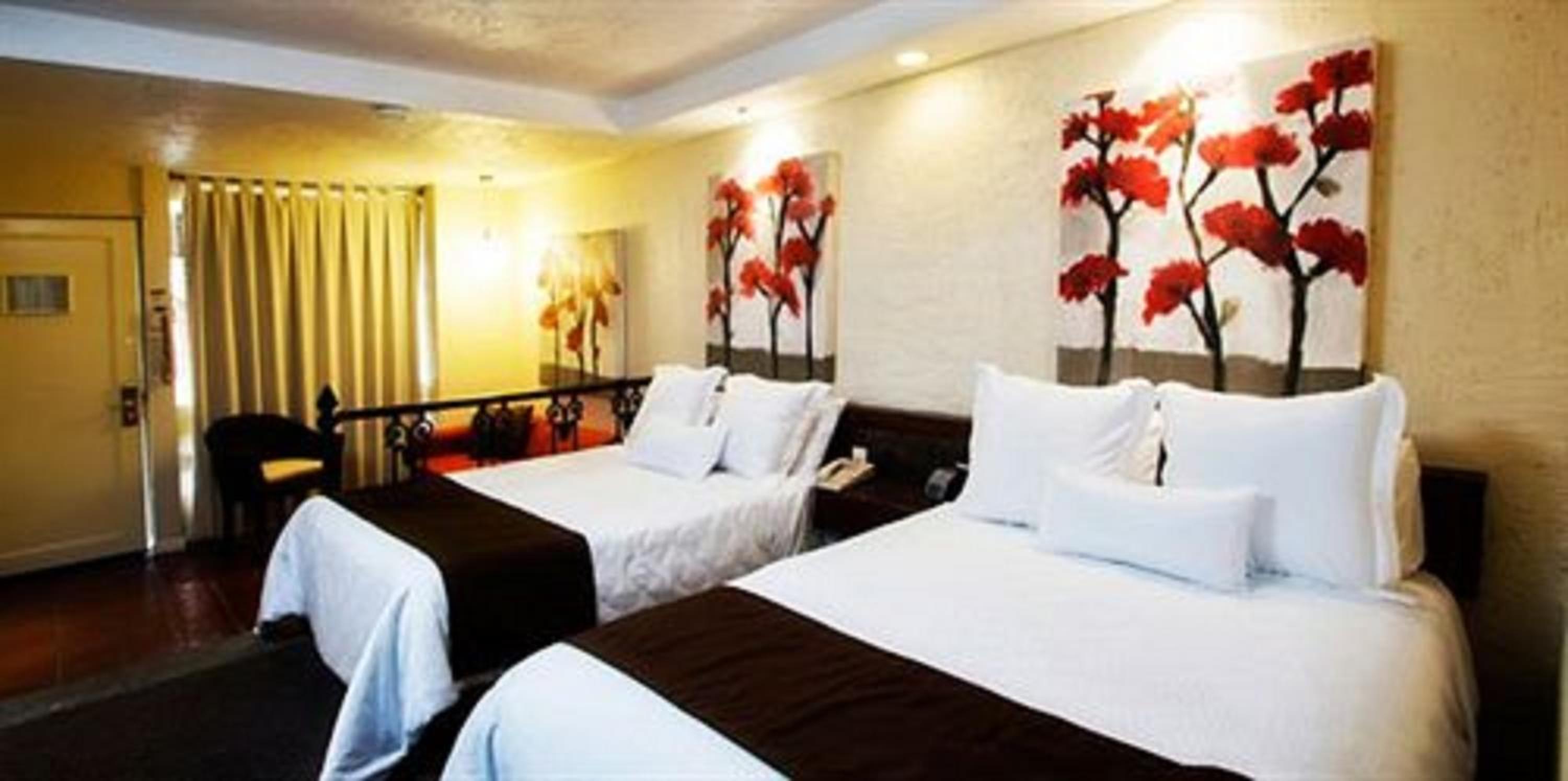Junior Suite - Photo 3