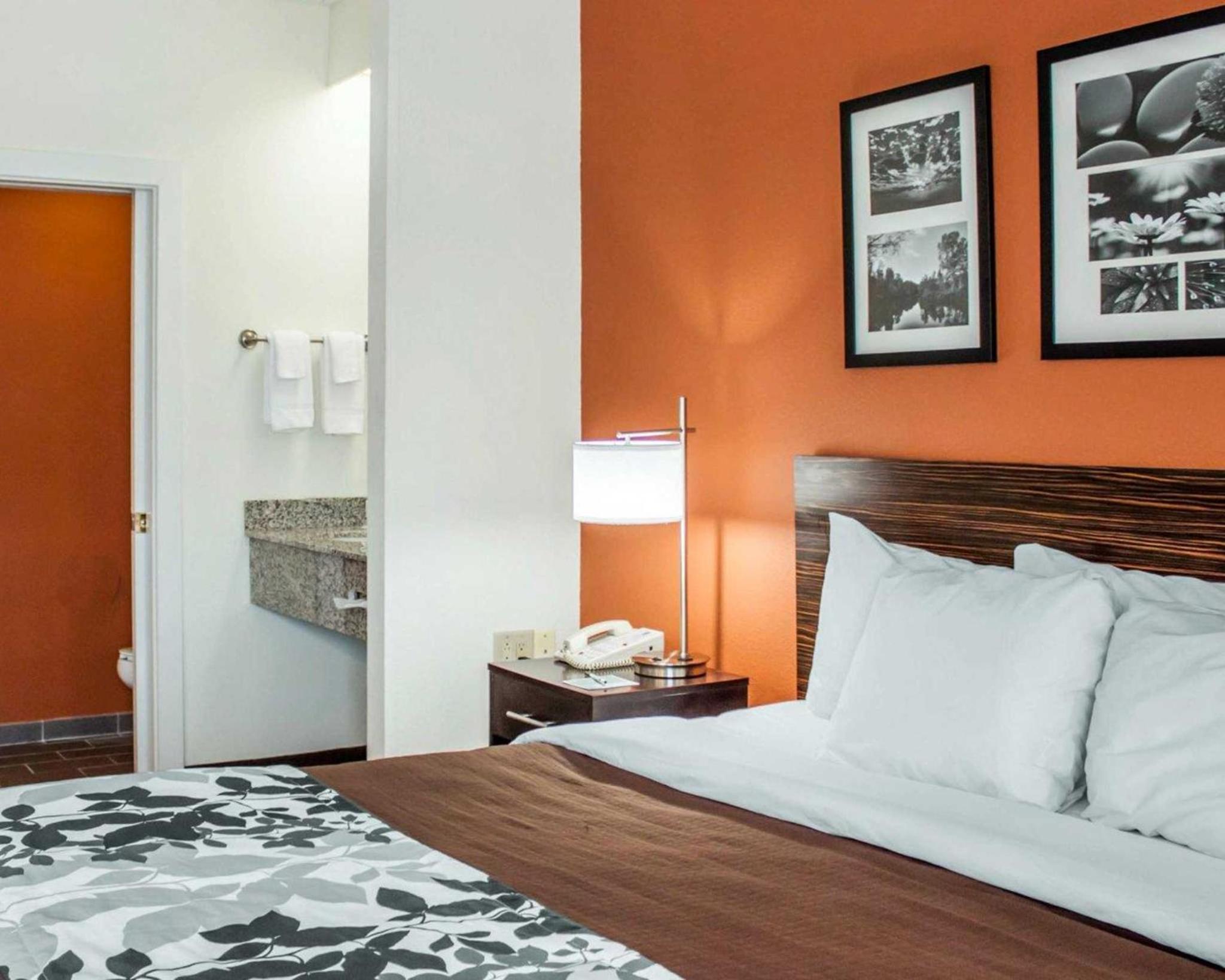 King Room - Non-Smoking - Photo 6