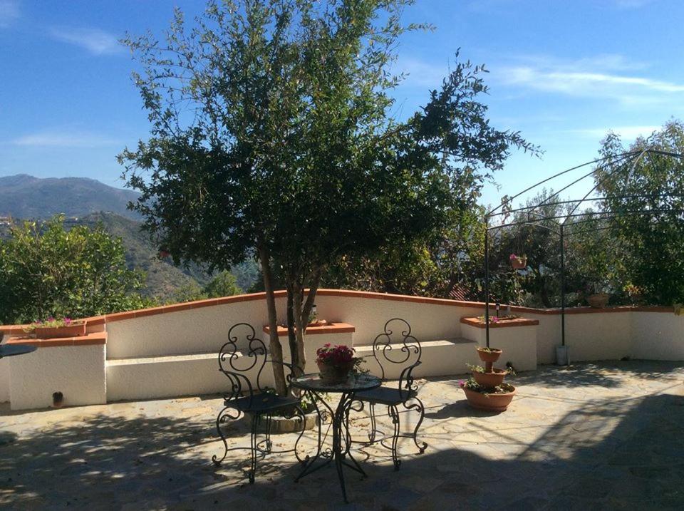 Apartment with Garden View