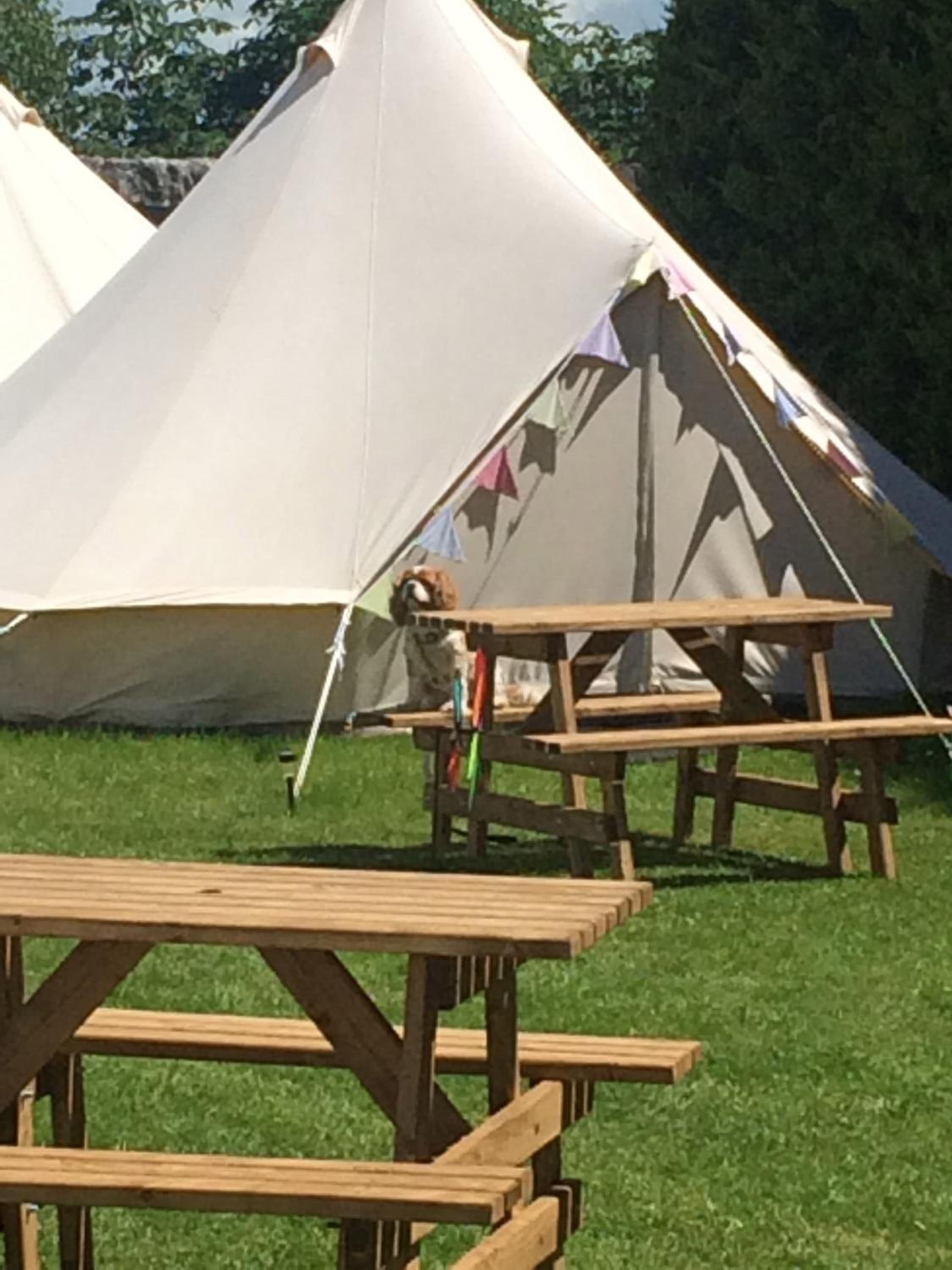 Bell Tent (2) - Photo 23