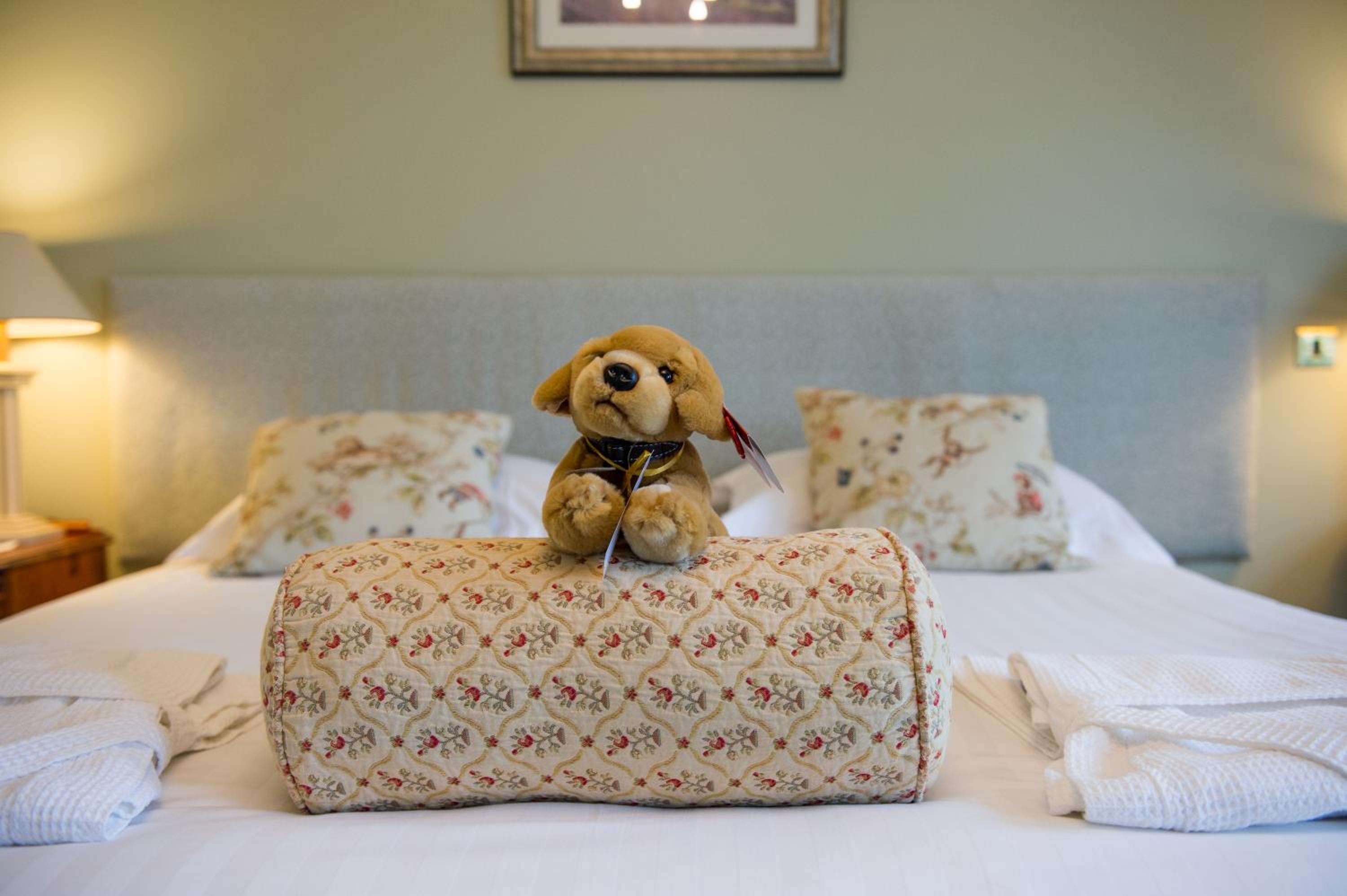 Premier Lake View Room photo 2