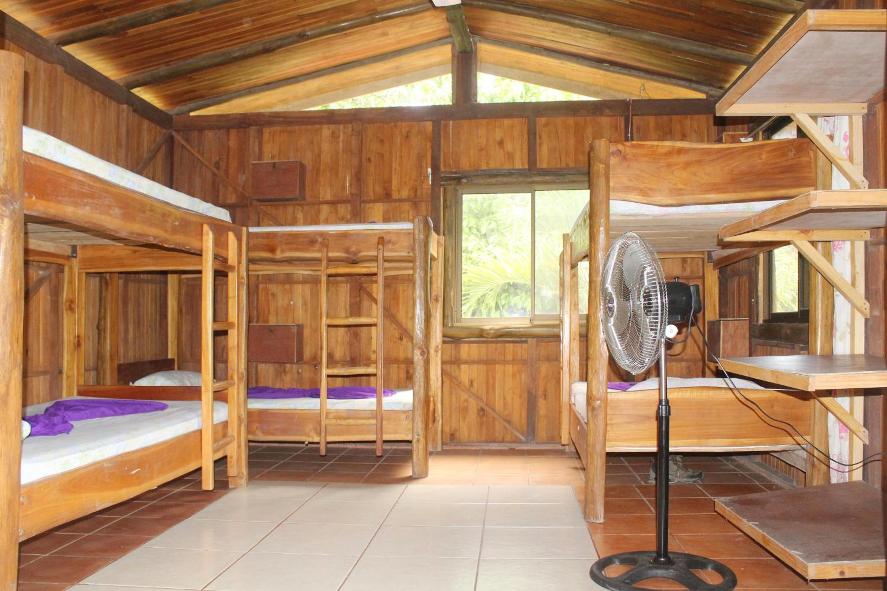 Bed In 8-Bed Mixed Dormitory Room photo 1