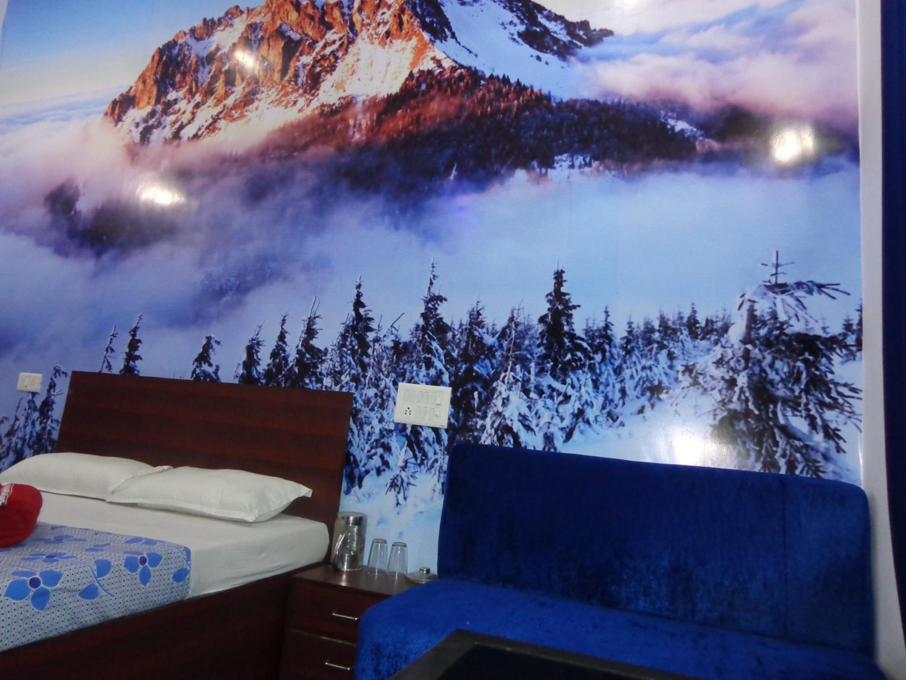 Deluxe Room - Photo 14