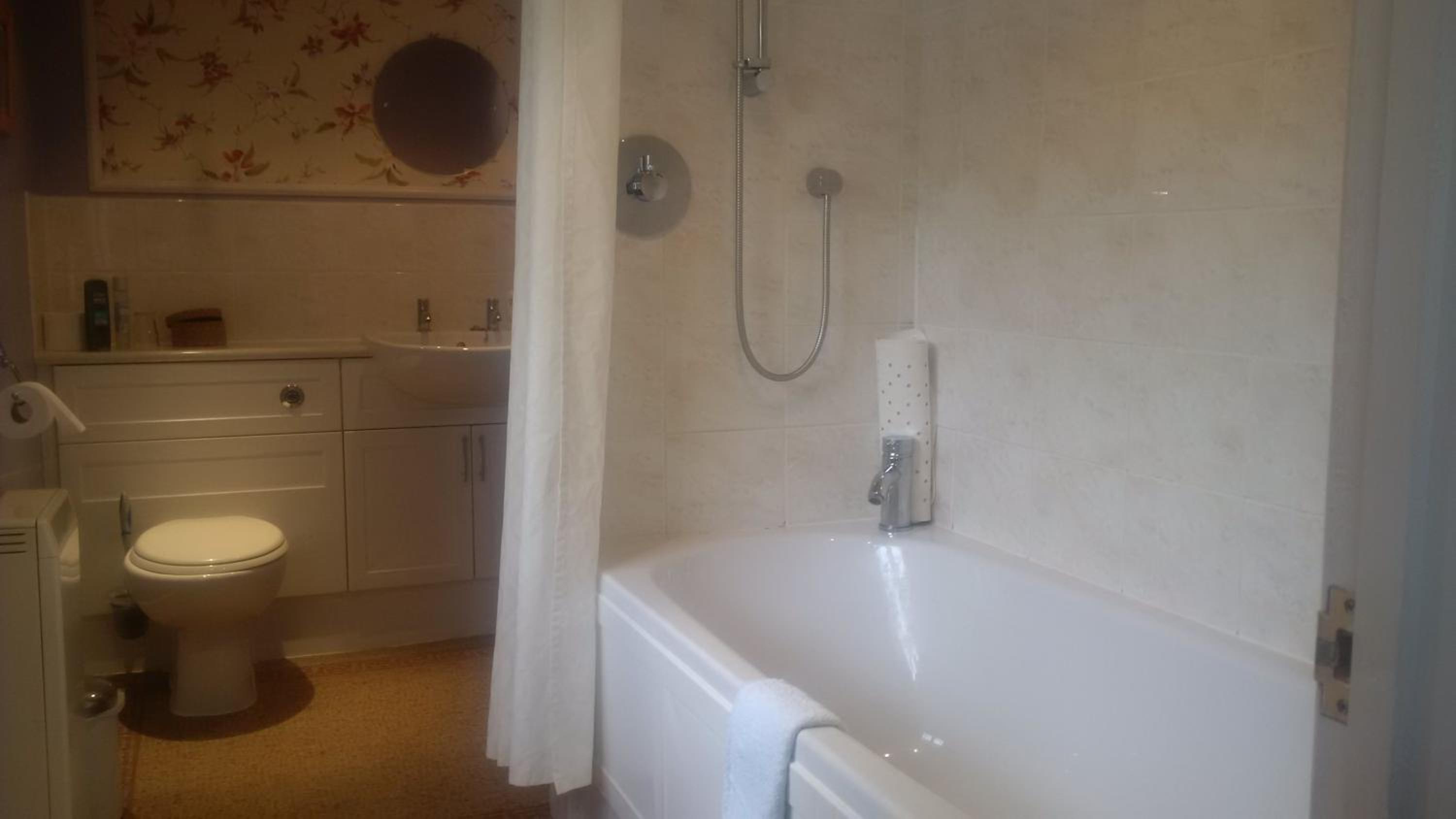 Family Room with Bath photo 3