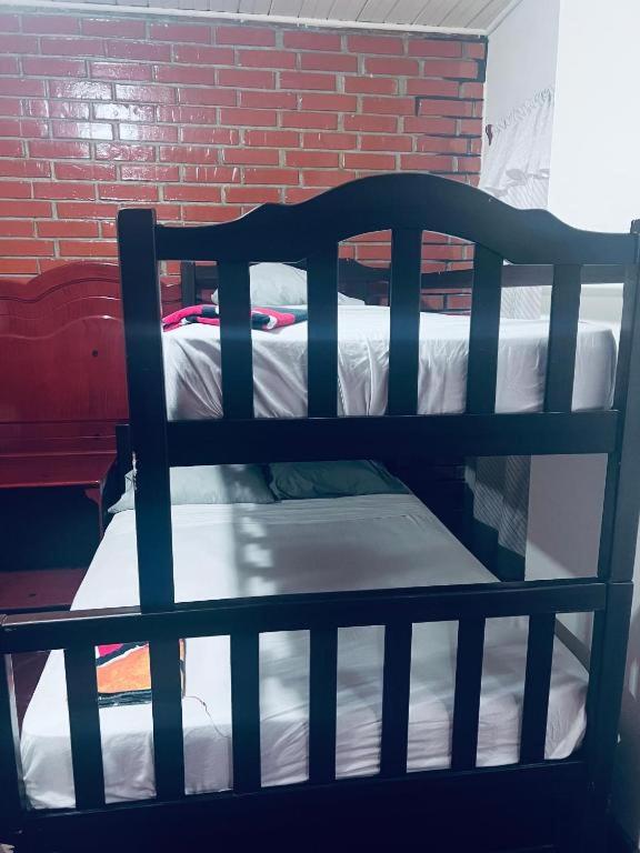 4-Bed Mixed Dormitory Room