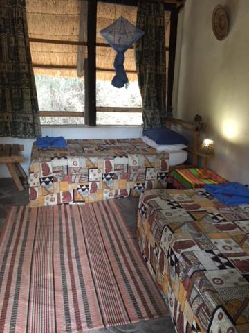 Twin Room with Private Bathroom photo 1