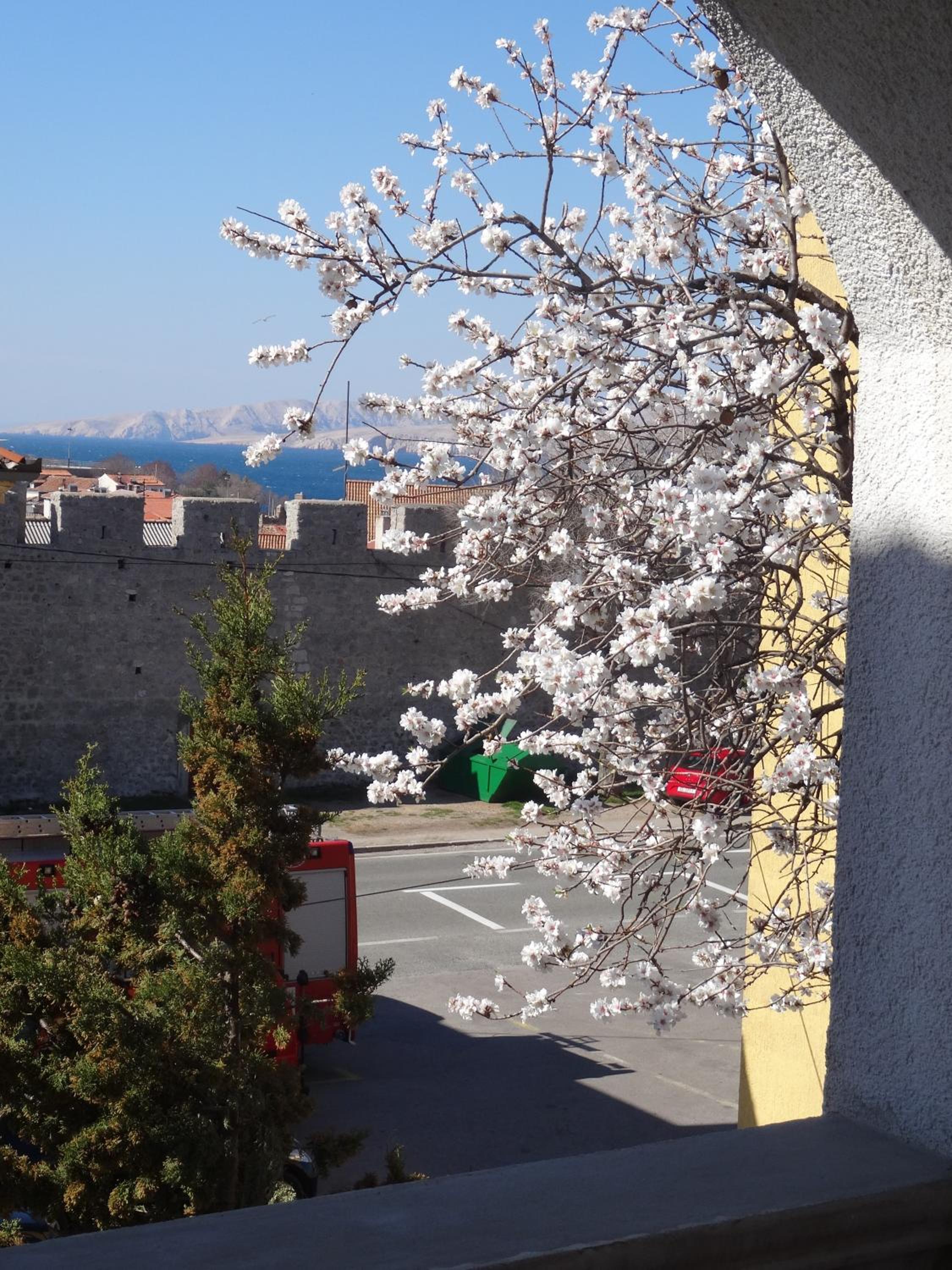 Apartment with Terrace photo 2