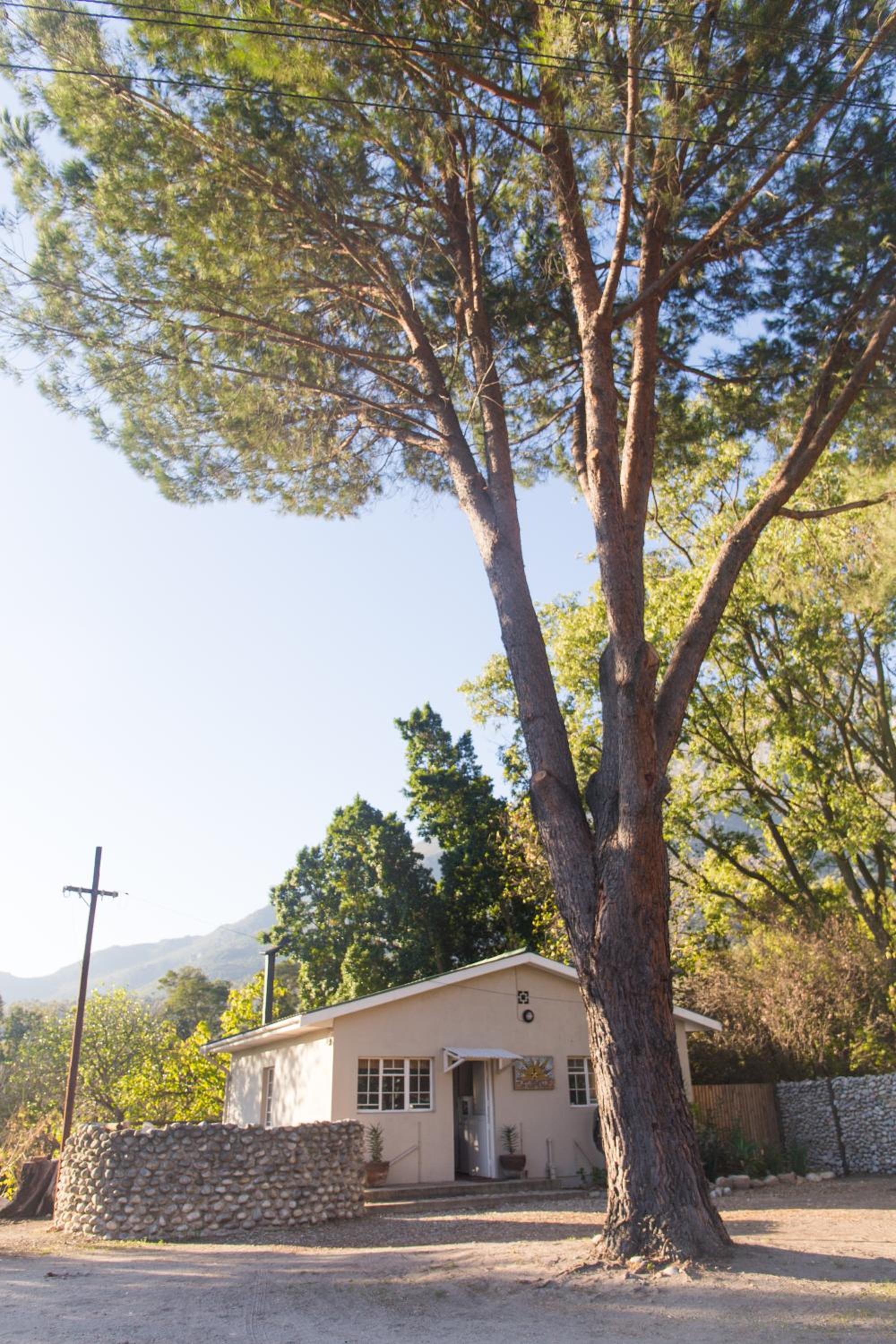 Family Room with Garden View - Photo 4