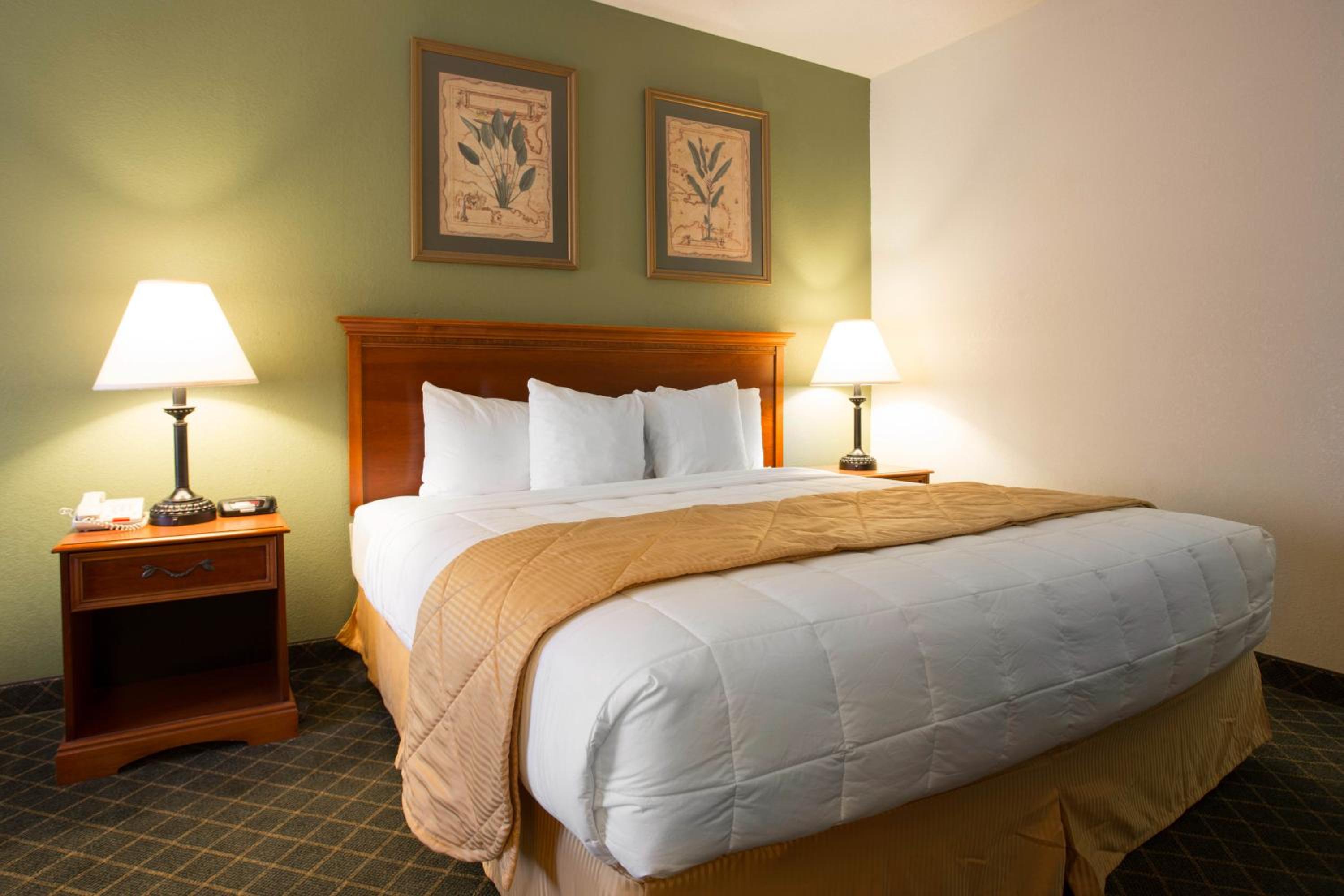 King Room photo 3