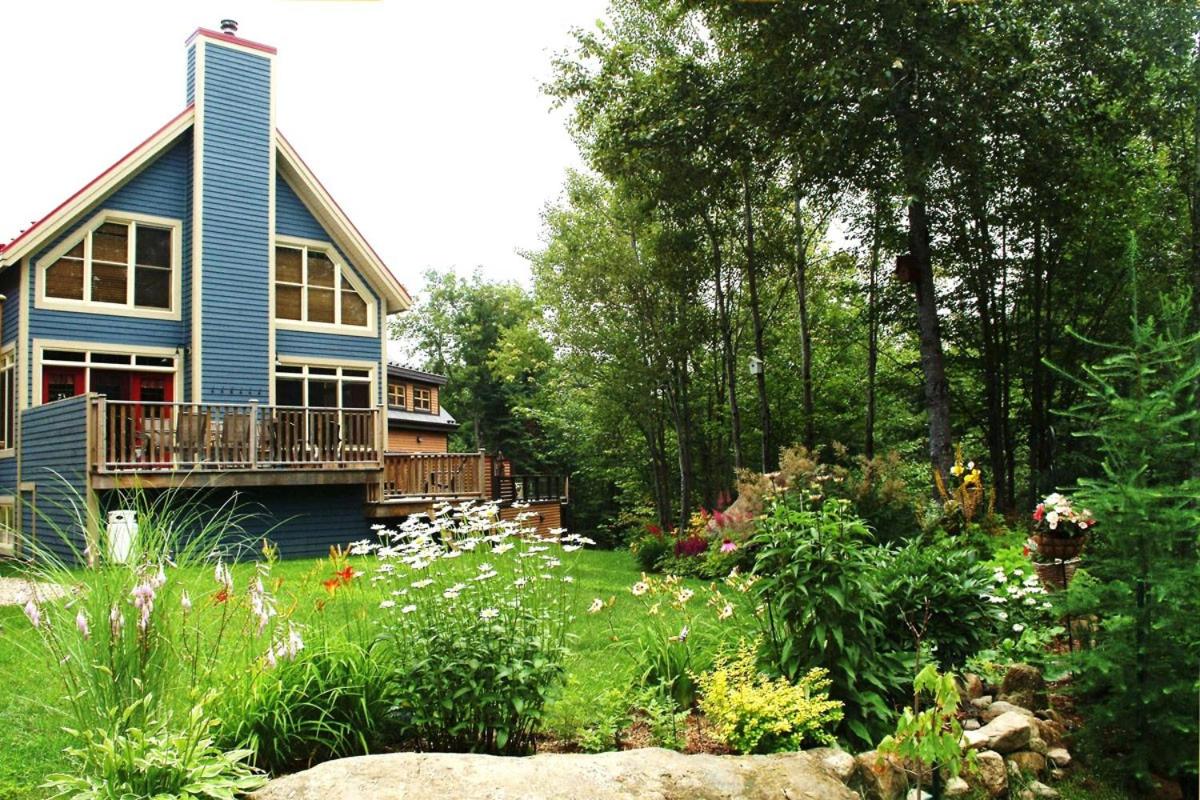 Four-Bedroom Chalet photo 2