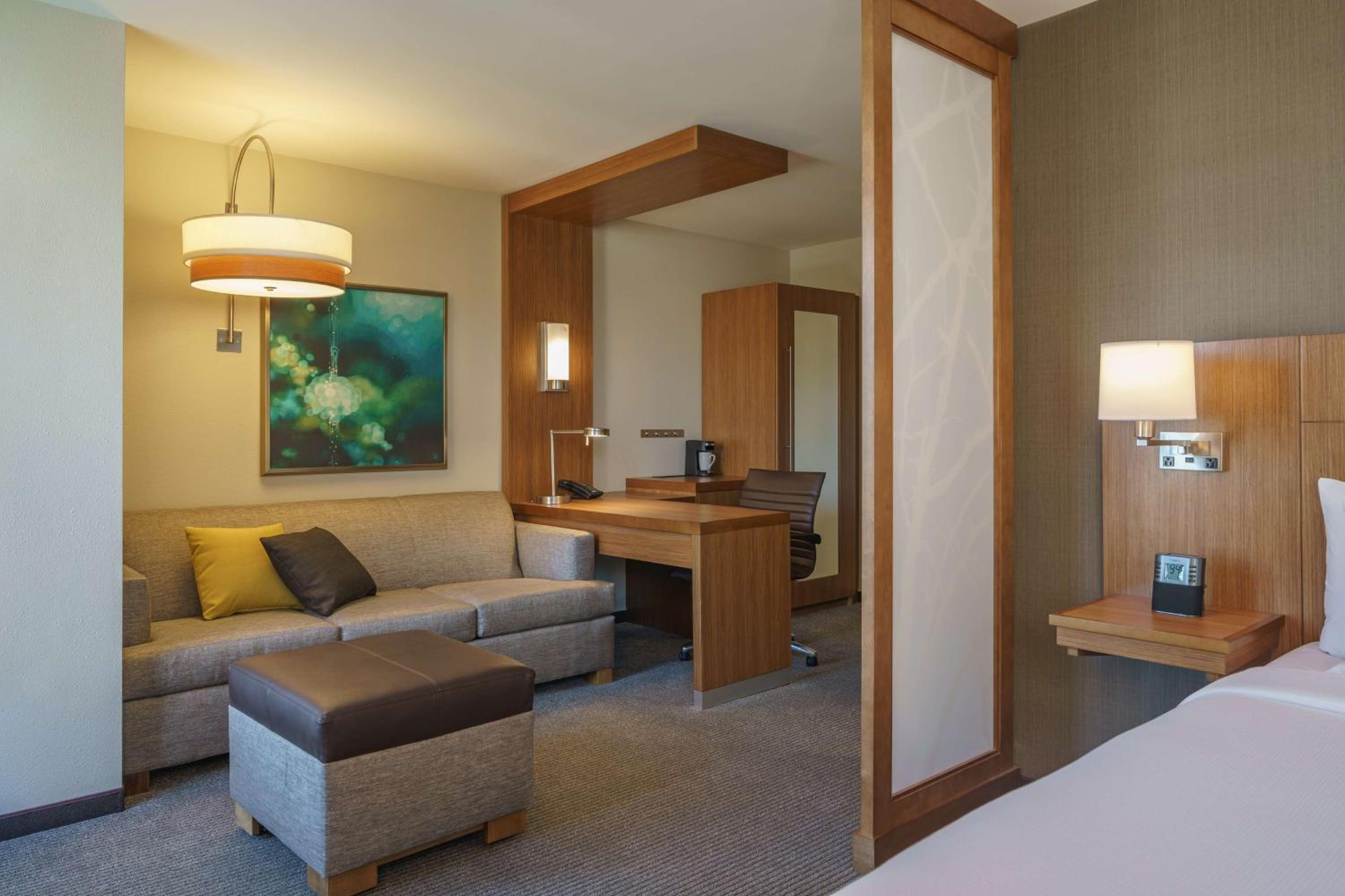 One-Bedroom Suite with Sofa Bed photo 1