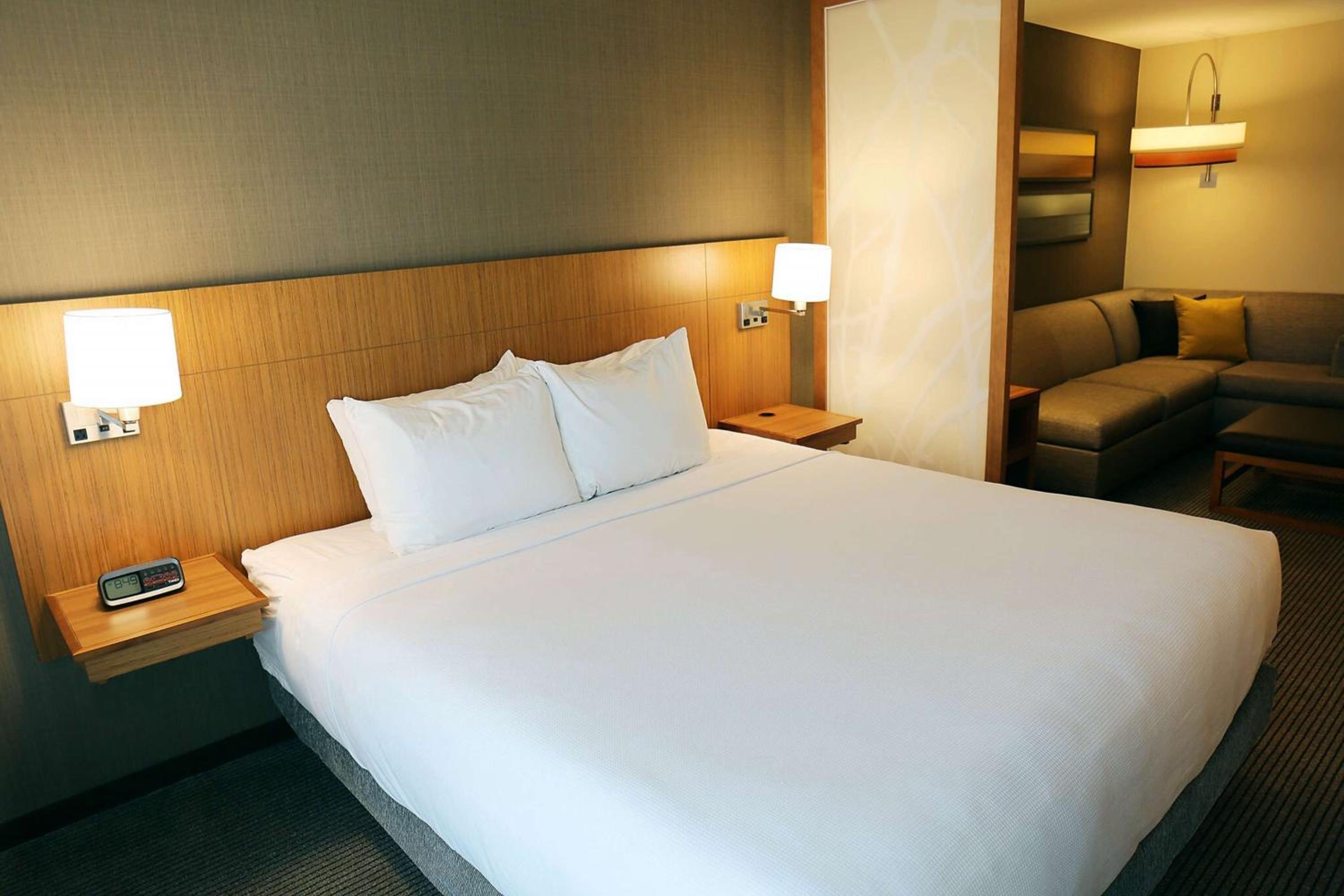 Room, 1 King Bed with Sofa bed