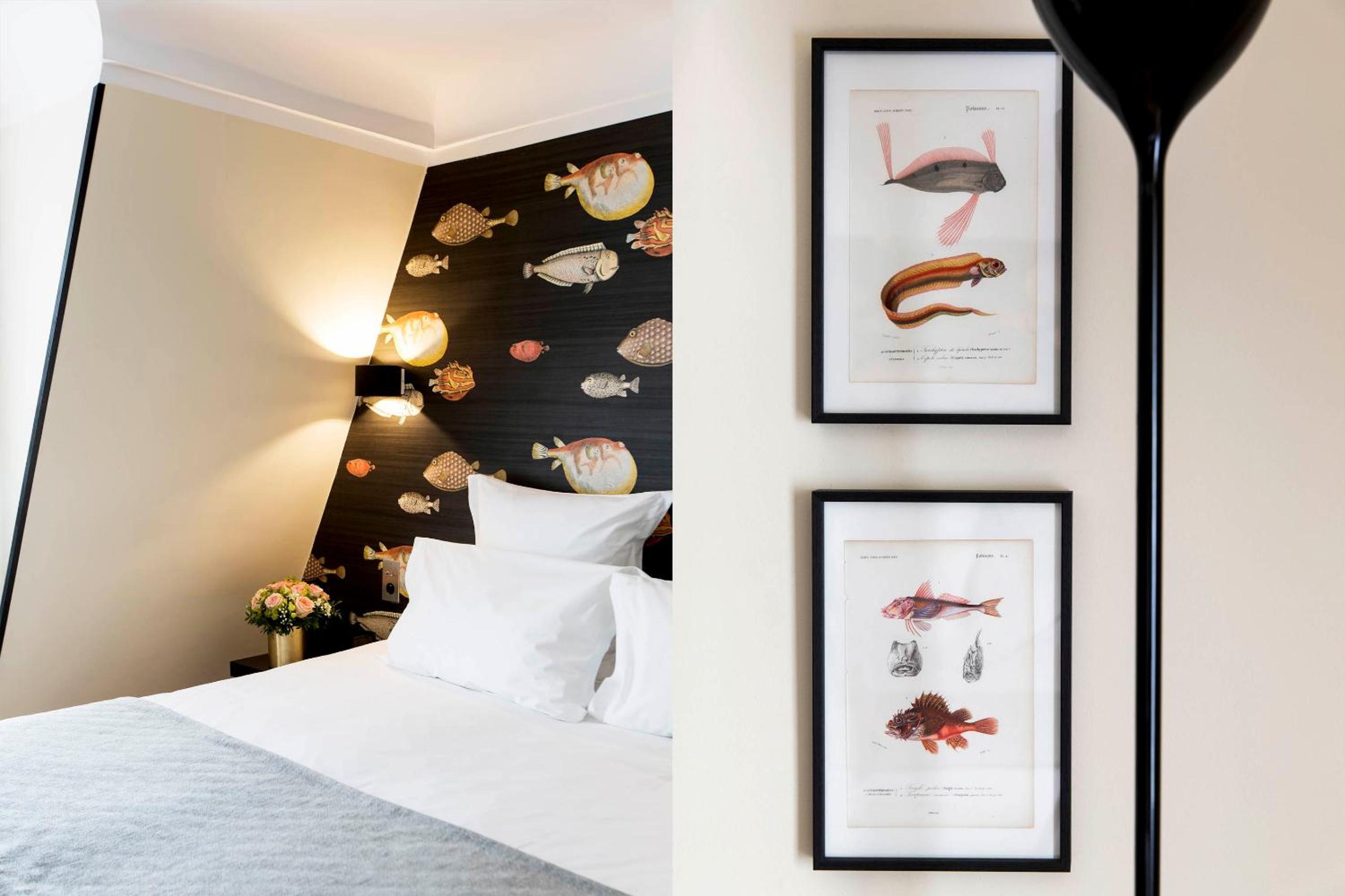 Elegance Double or Twin Room photo 2