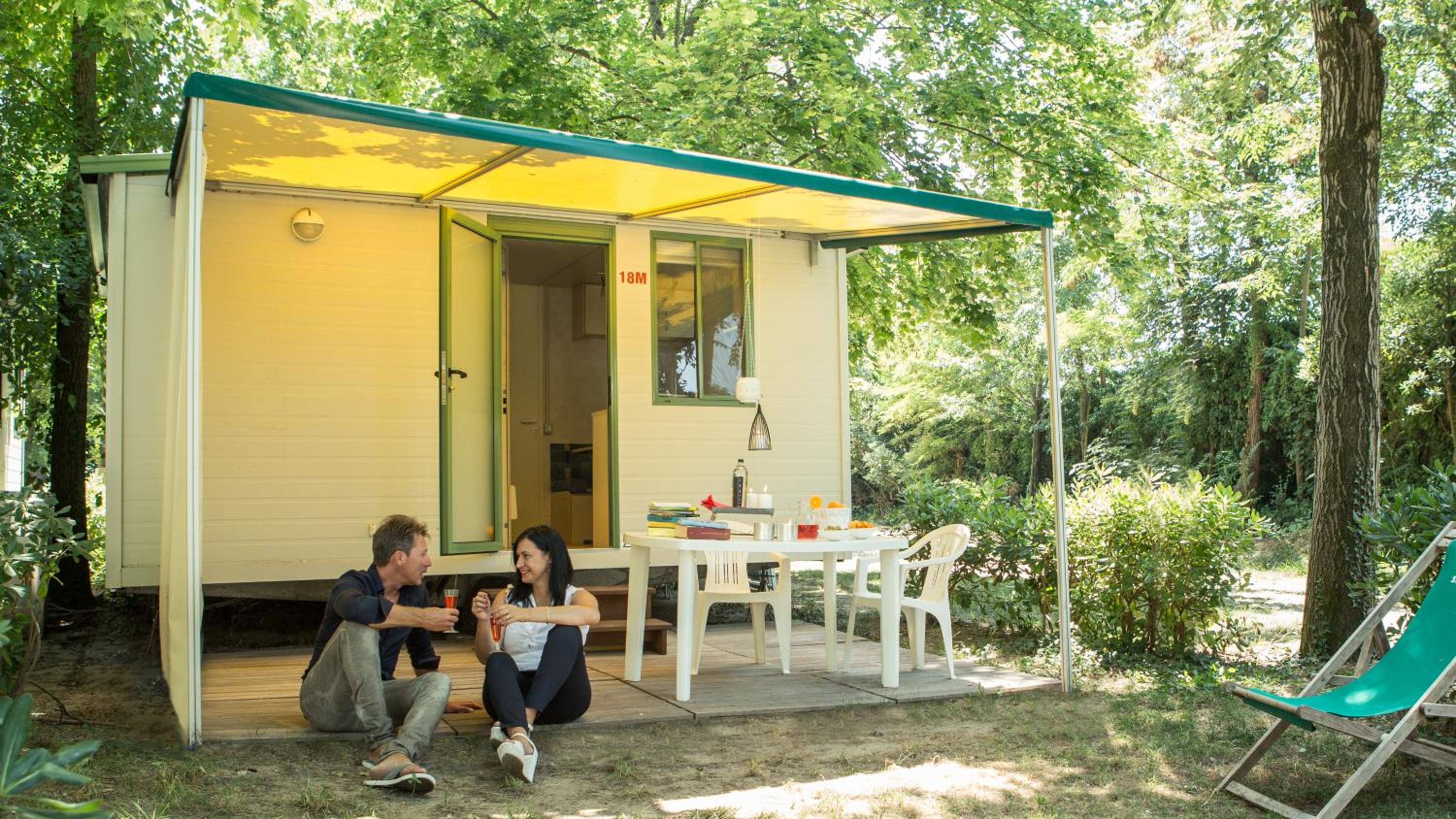 Mobile Home Standard photo 3