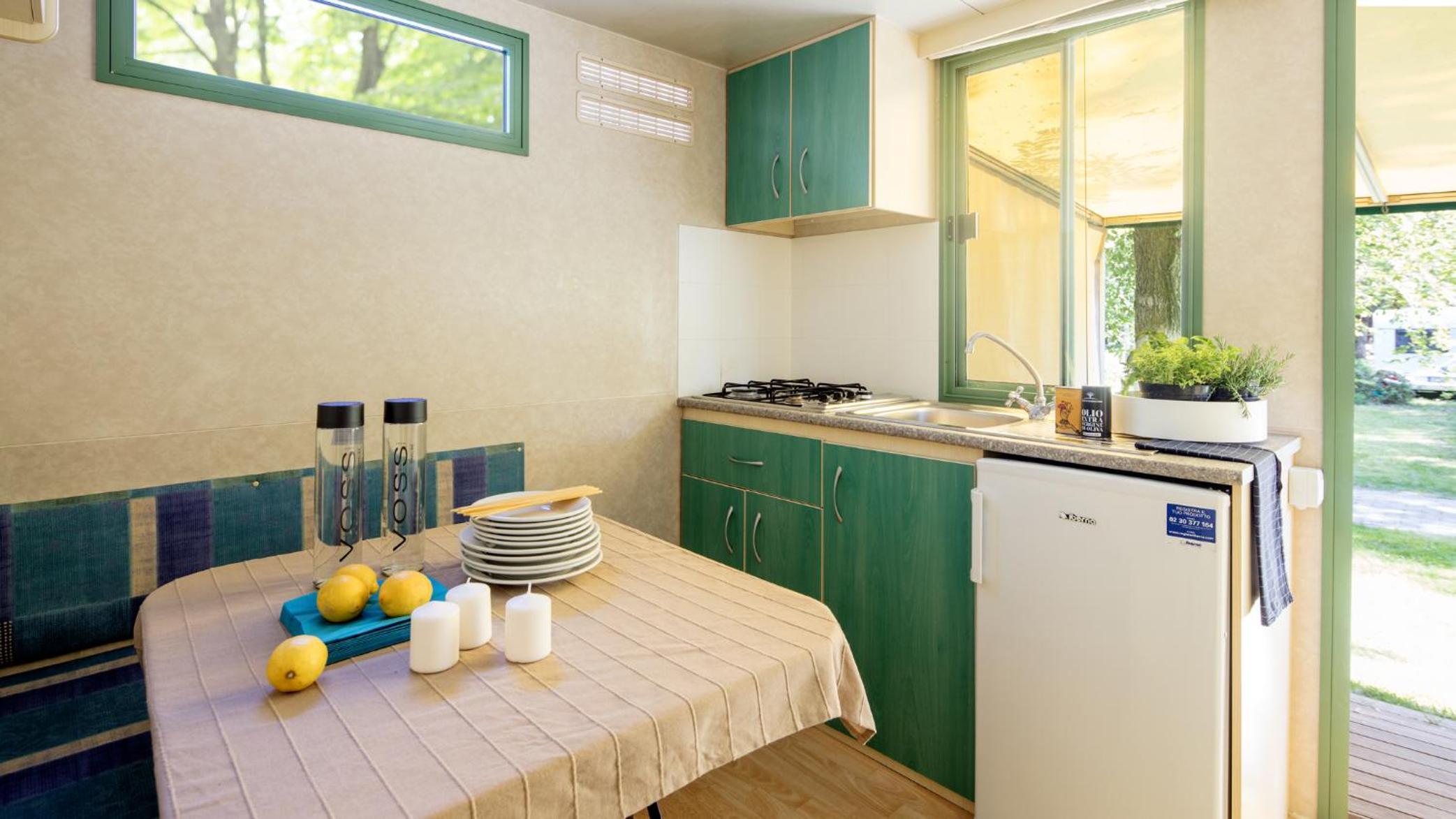 Mobile Home Standard photo 2
