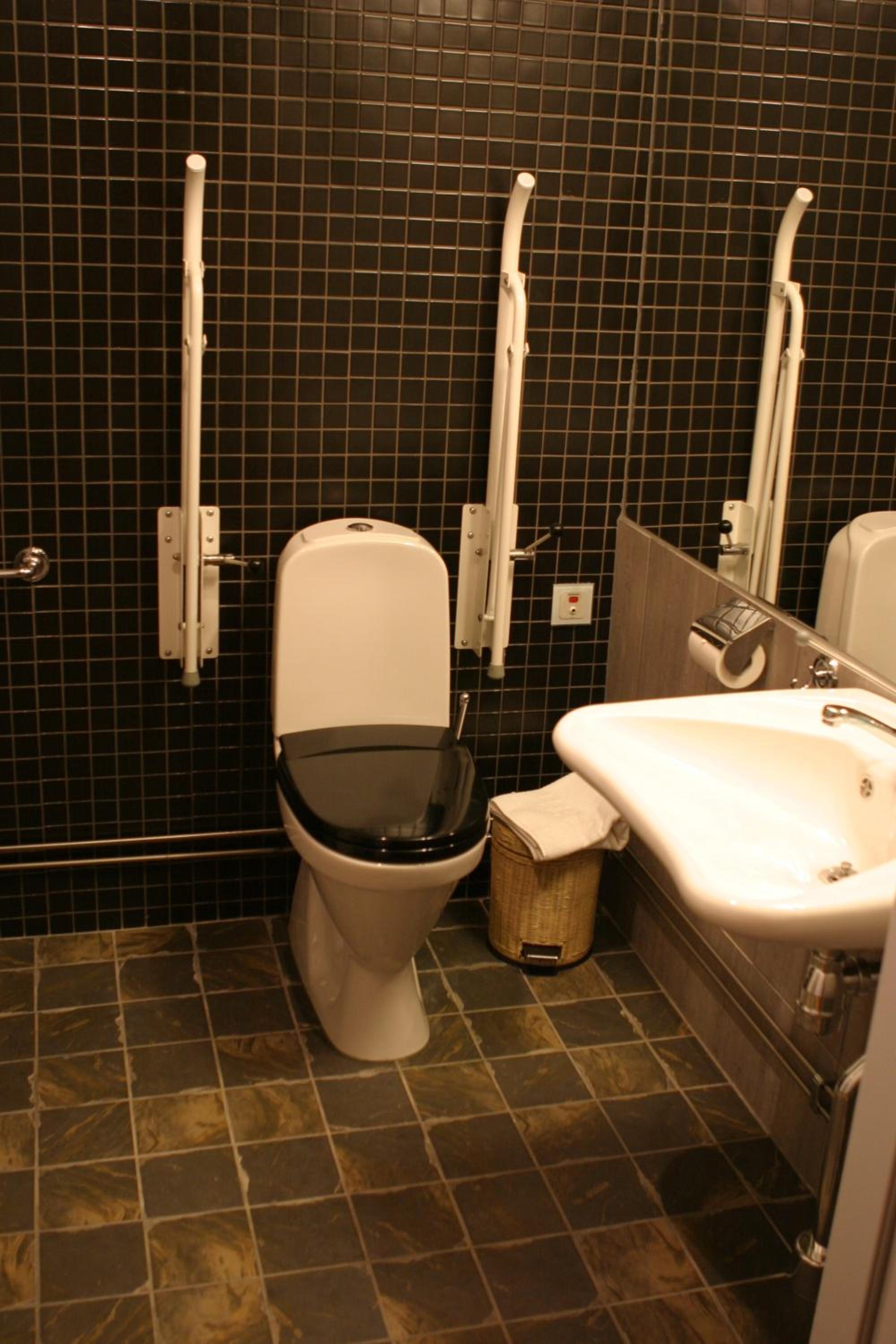 Standard Twin Room/Double Room  - Photo 5