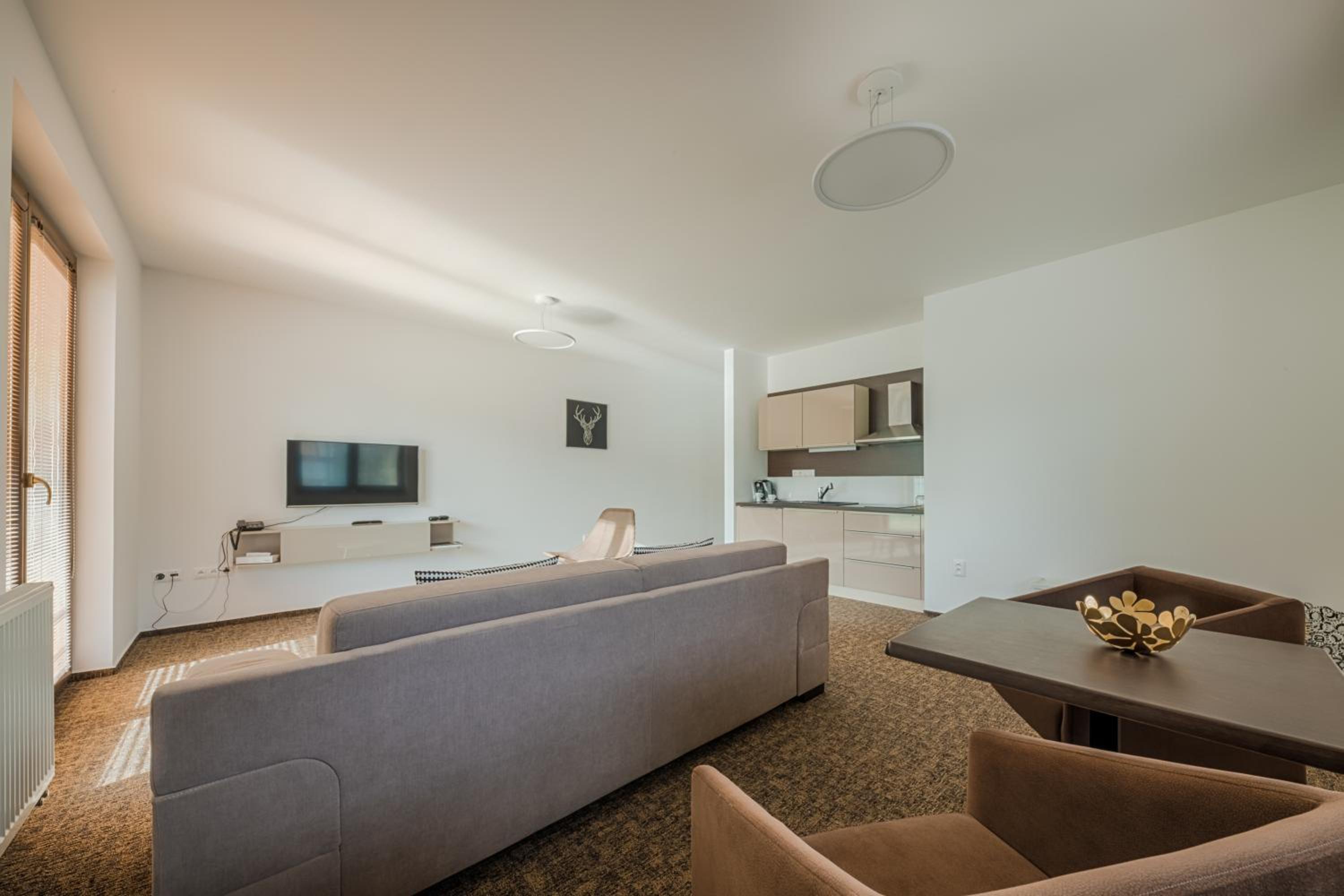 Superior Apartment - Photo 3