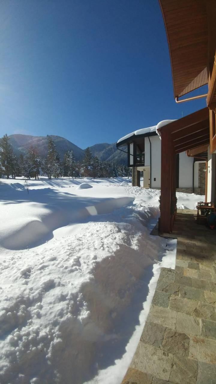 Chalet photo 3