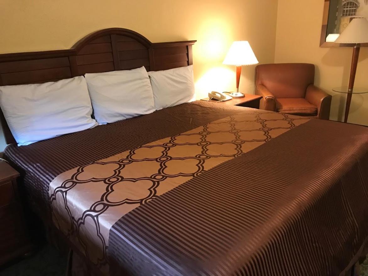 King Room photo 3