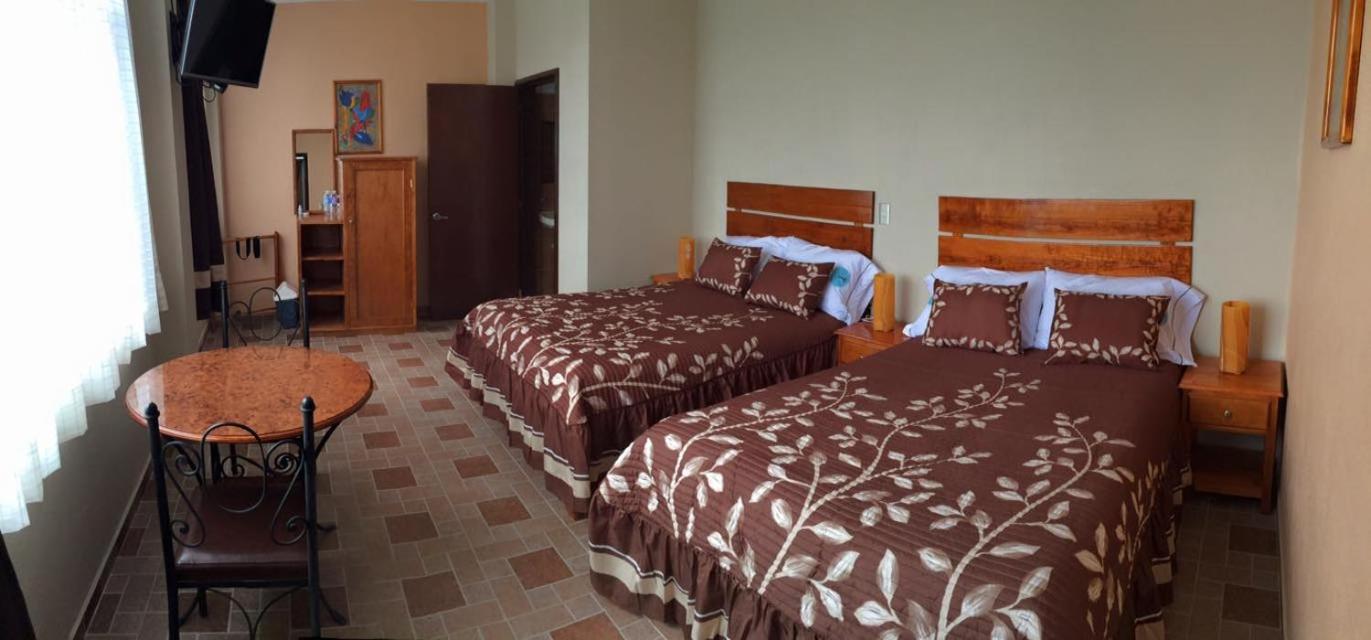 Standard Twin Room With Garden View photo 1