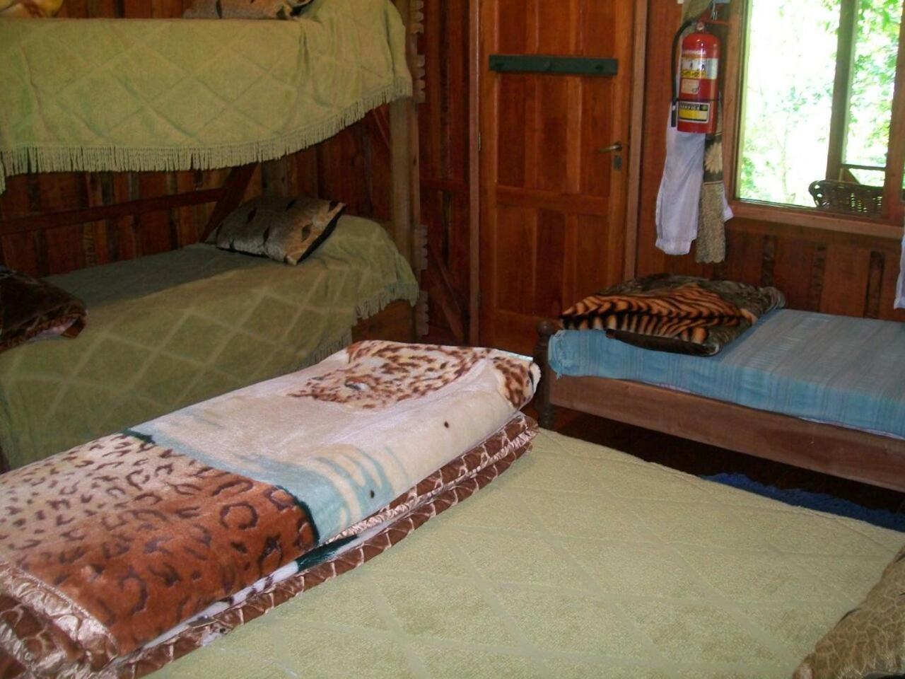 Standard Family Room photo 2
