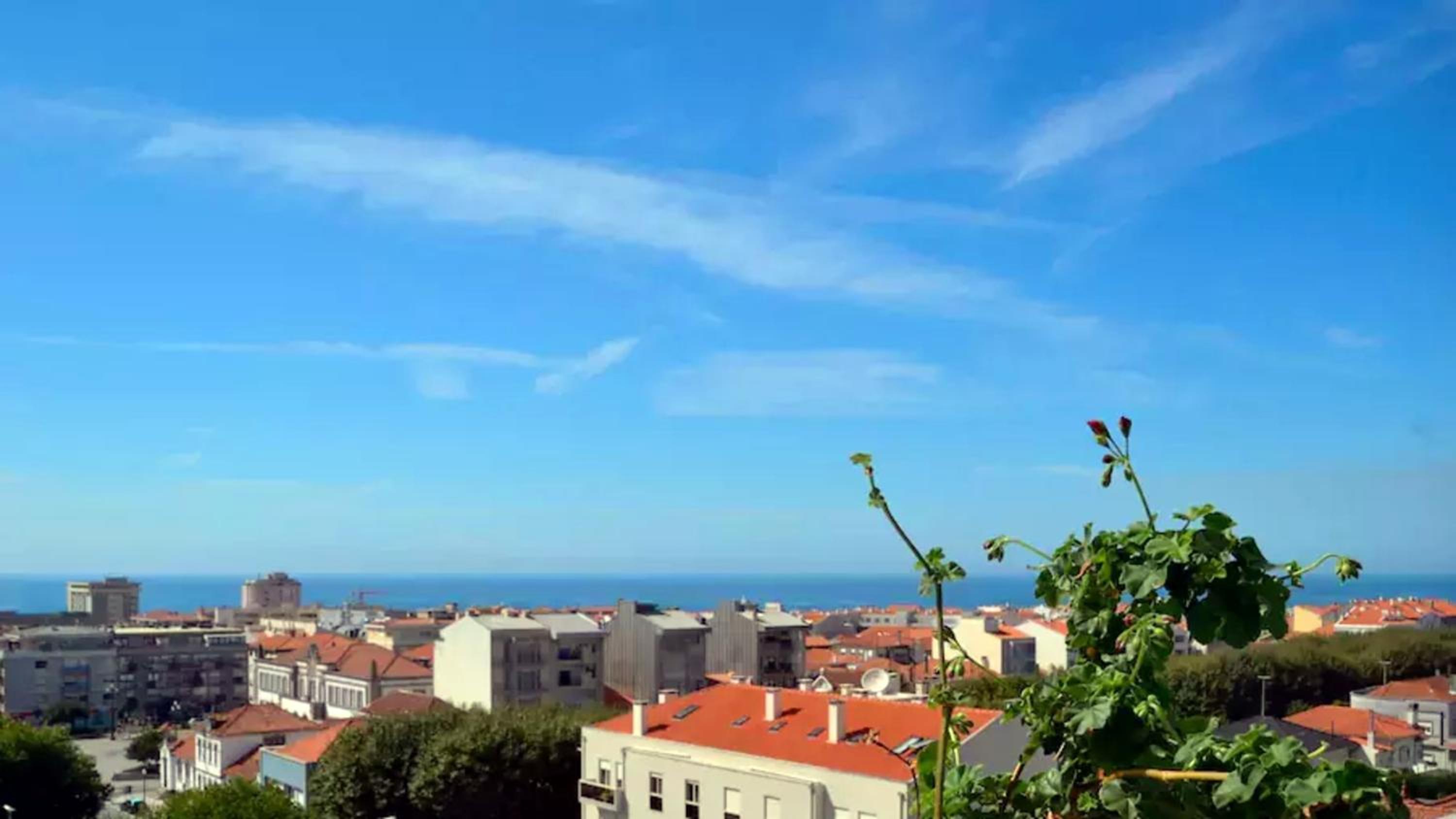 One-Bedroom Apartment with Sea View and Terrace - Photo 44