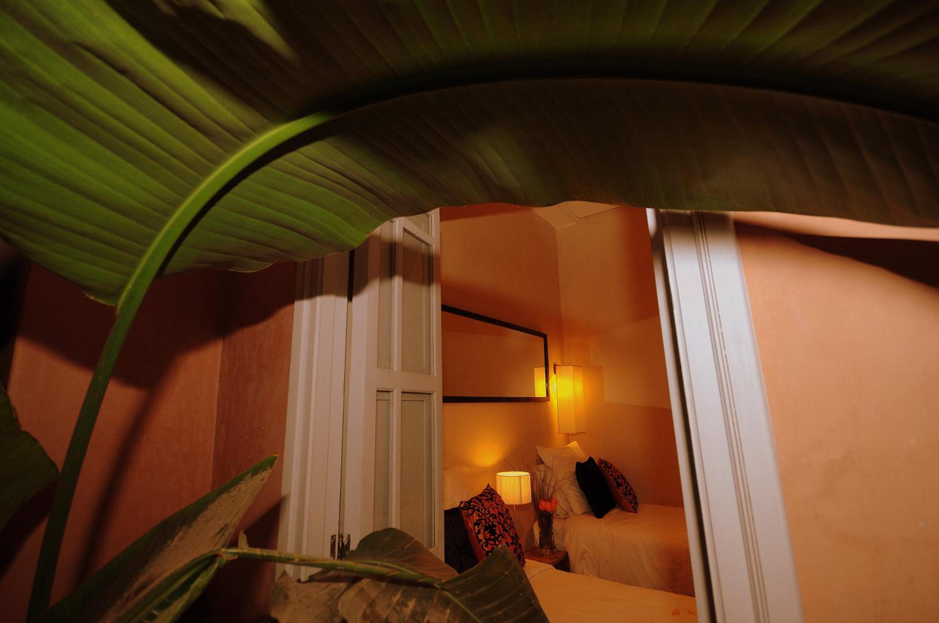 Zagora Junior Suite - Photo 1
