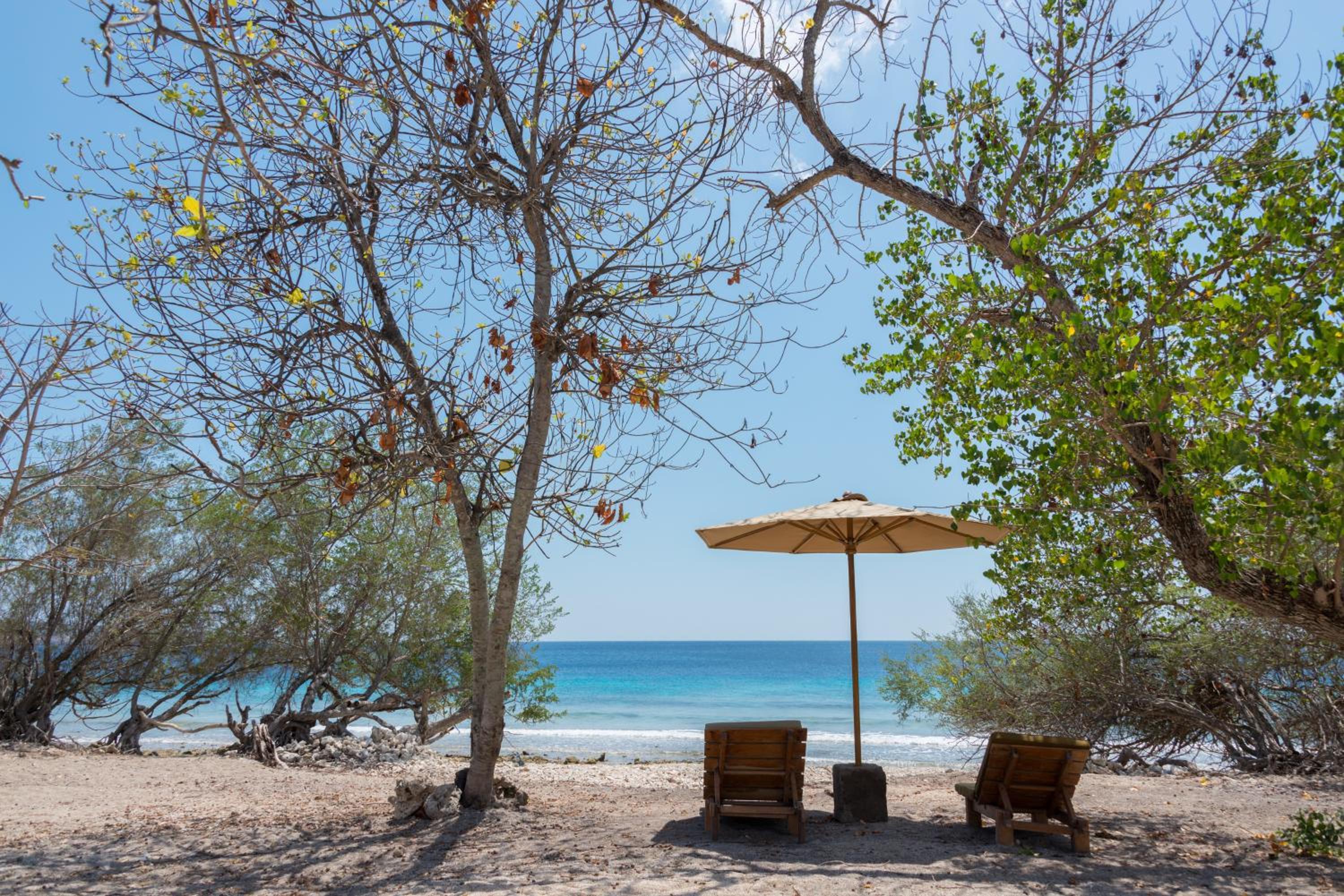 Two Bedroom Beachfront Villa - Photo 25