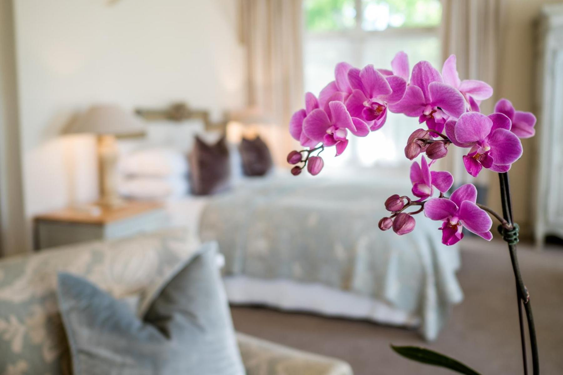 Honeymoon Suite photo 2