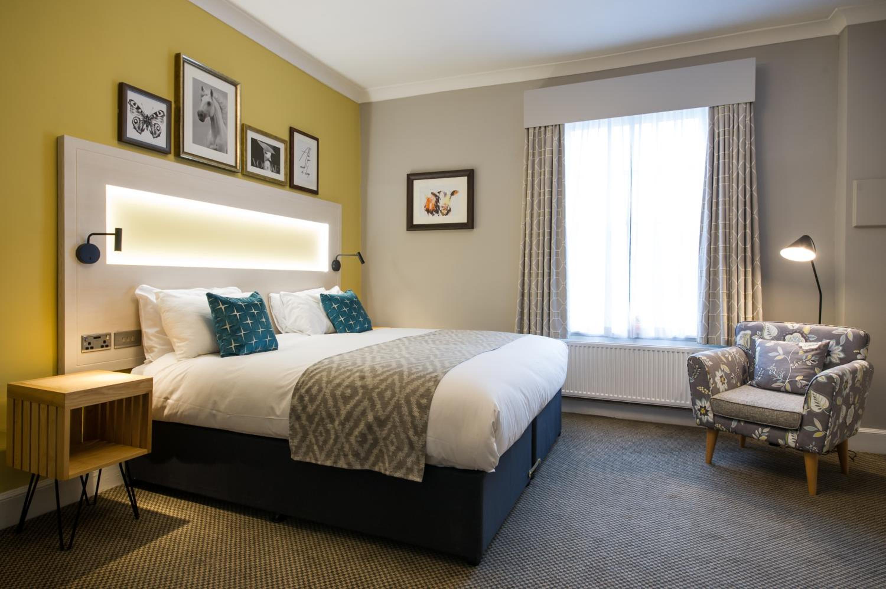 Double Room photo 1