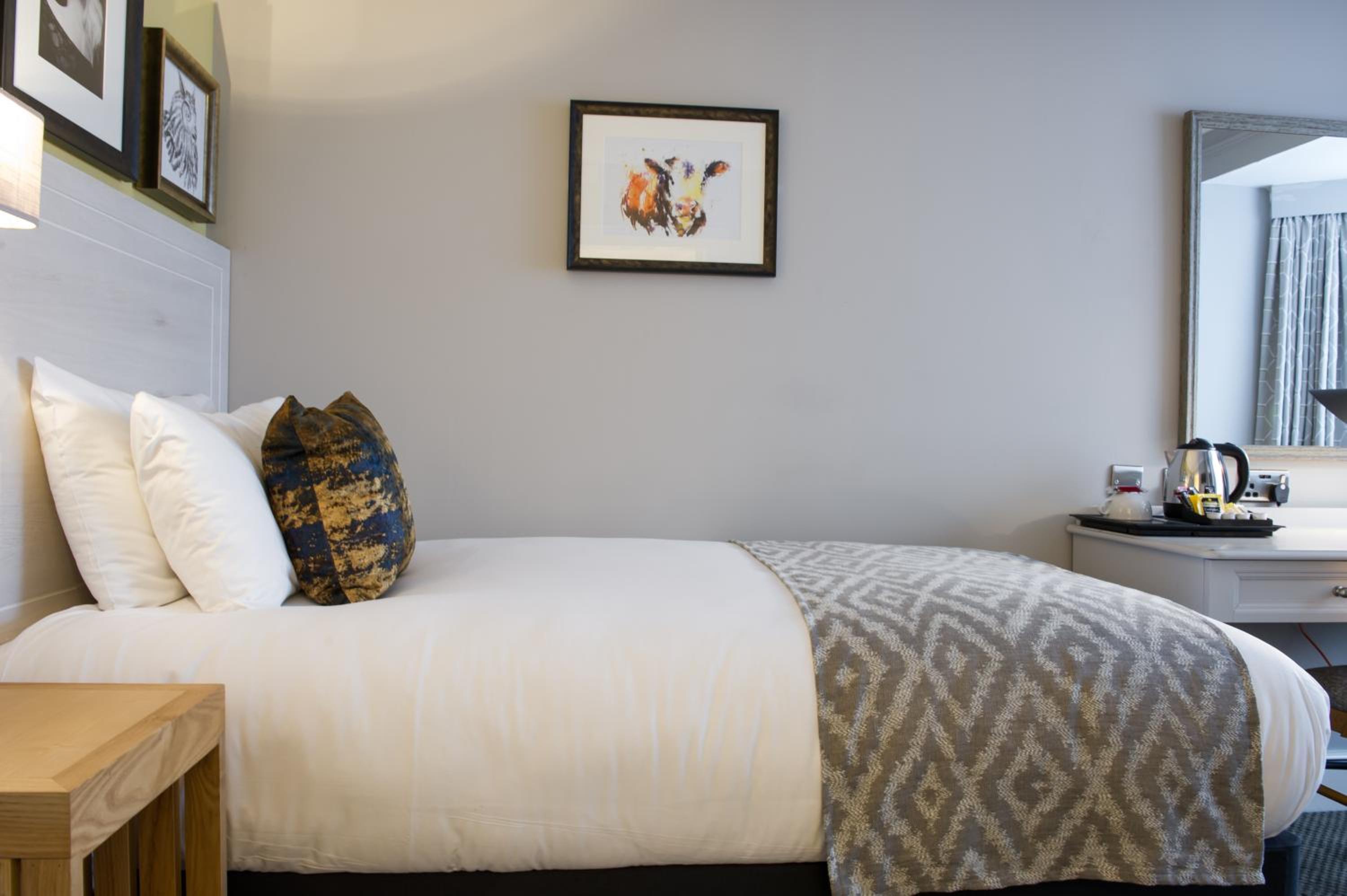 Single Room photo 2