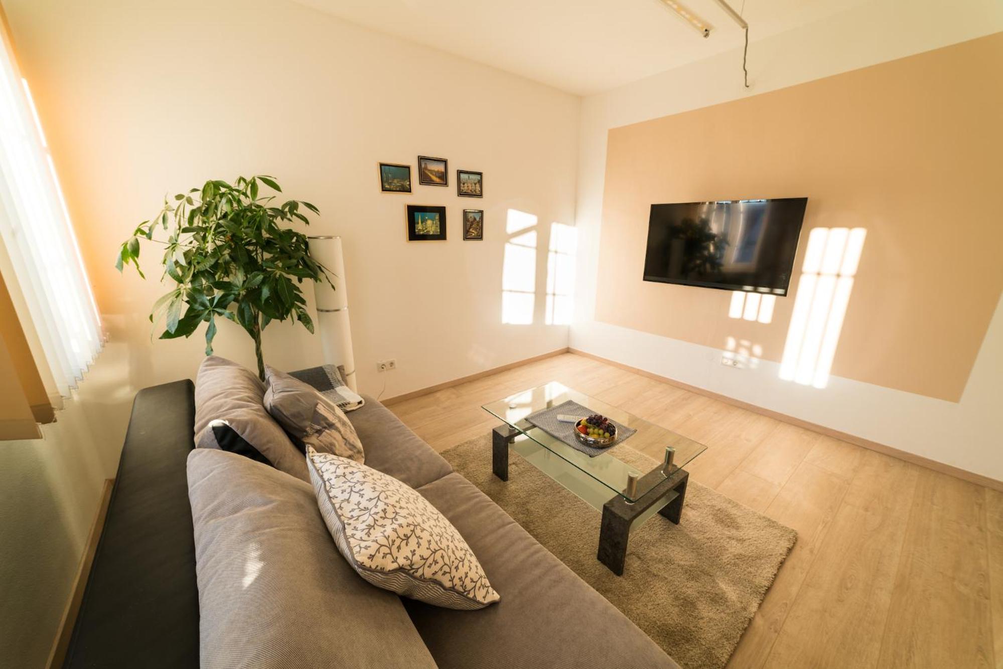 Standard Apartment photo 2