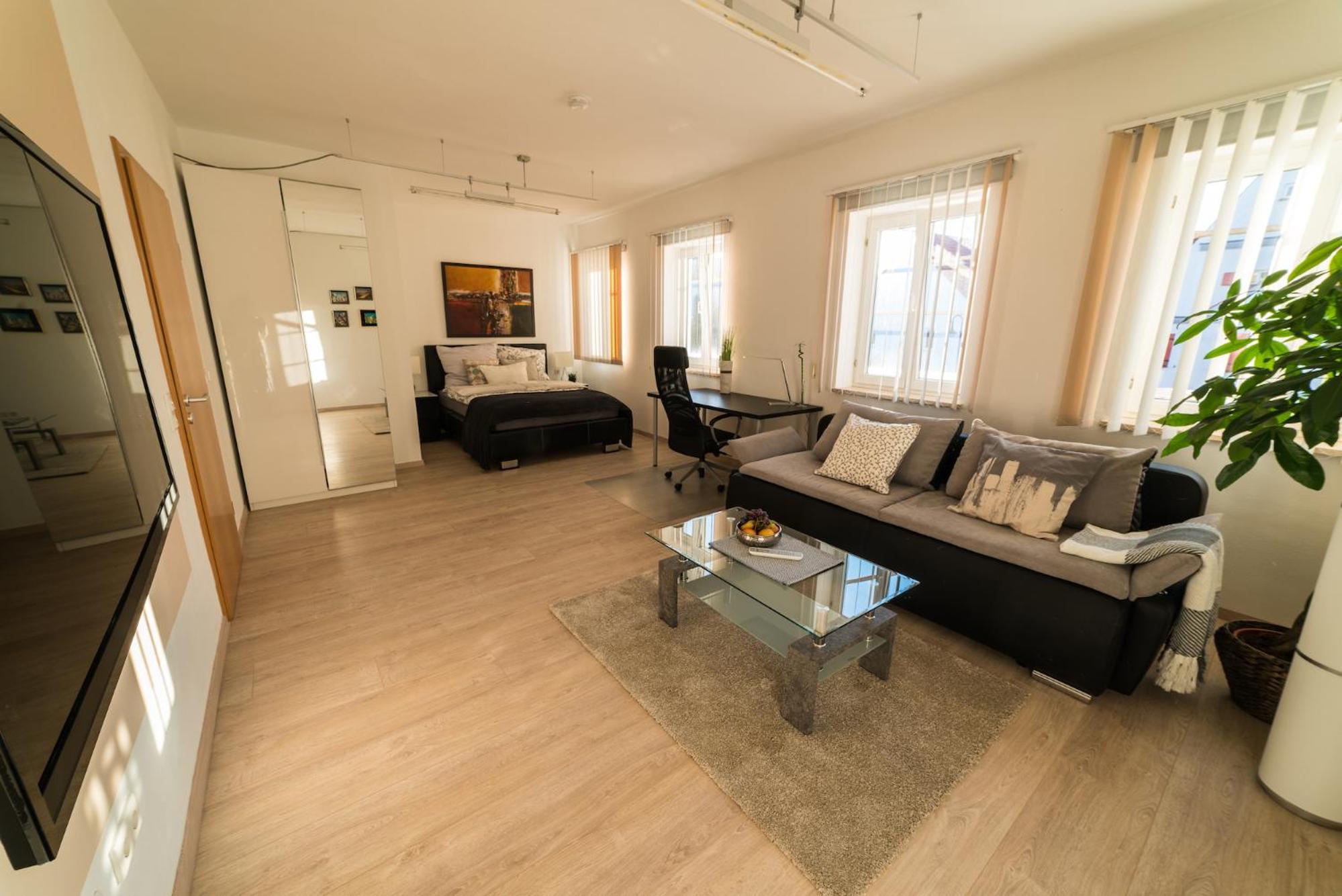 Standard Apartment photo 3