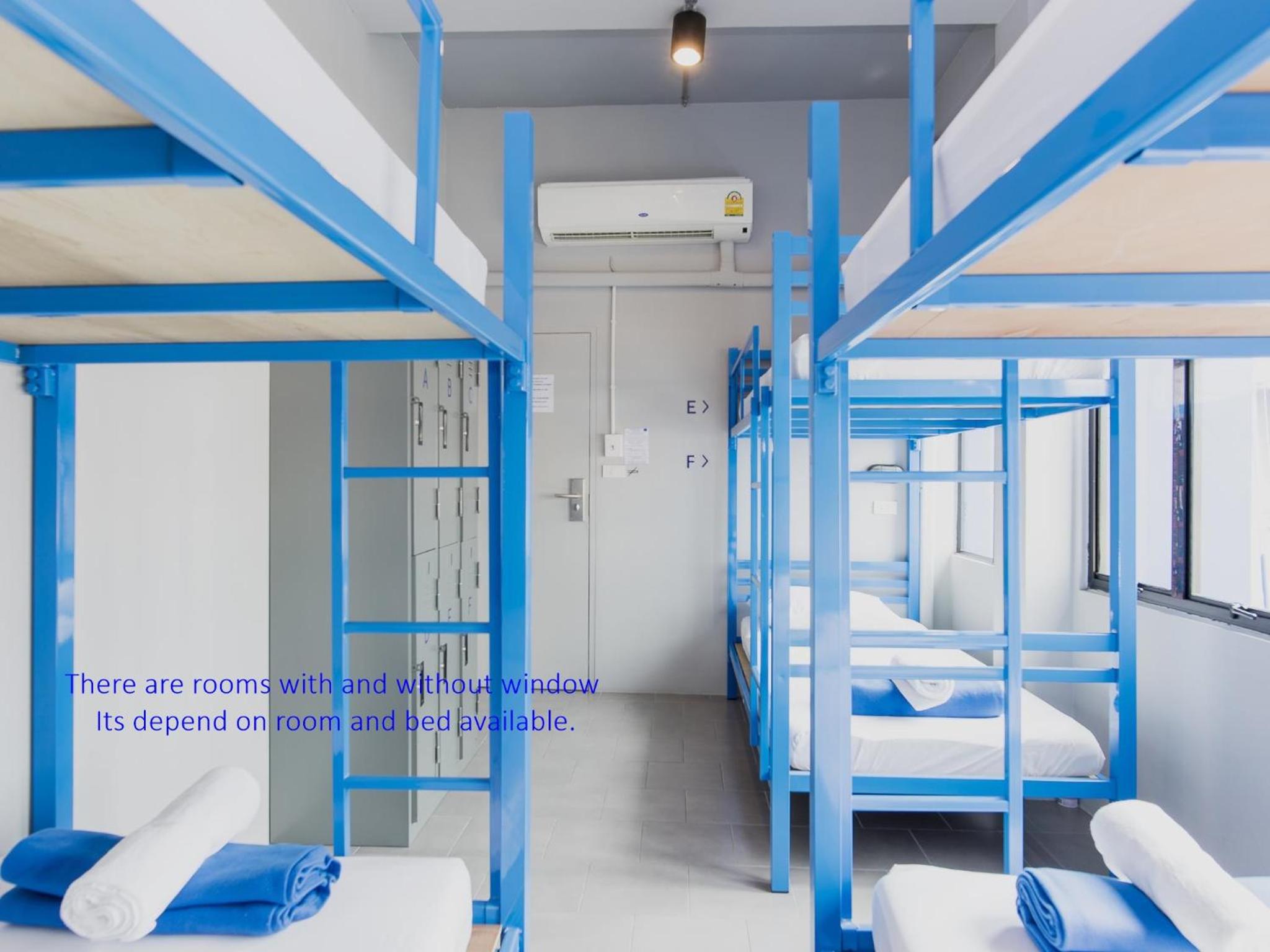 Bunk Bed in 6-Bed Mixed Dormitory Room photo 1