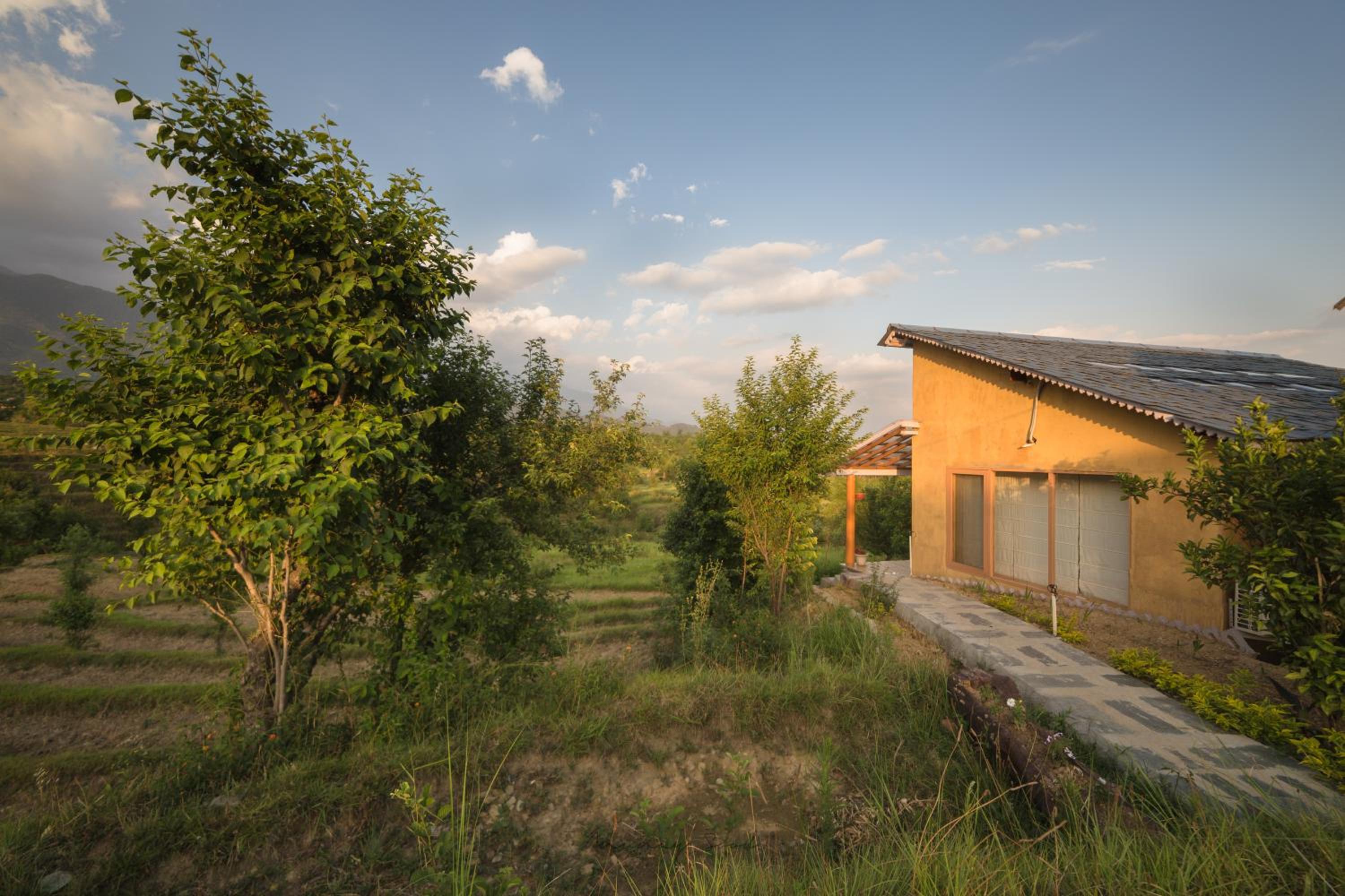 Red Cedar Cottage - Photo 8