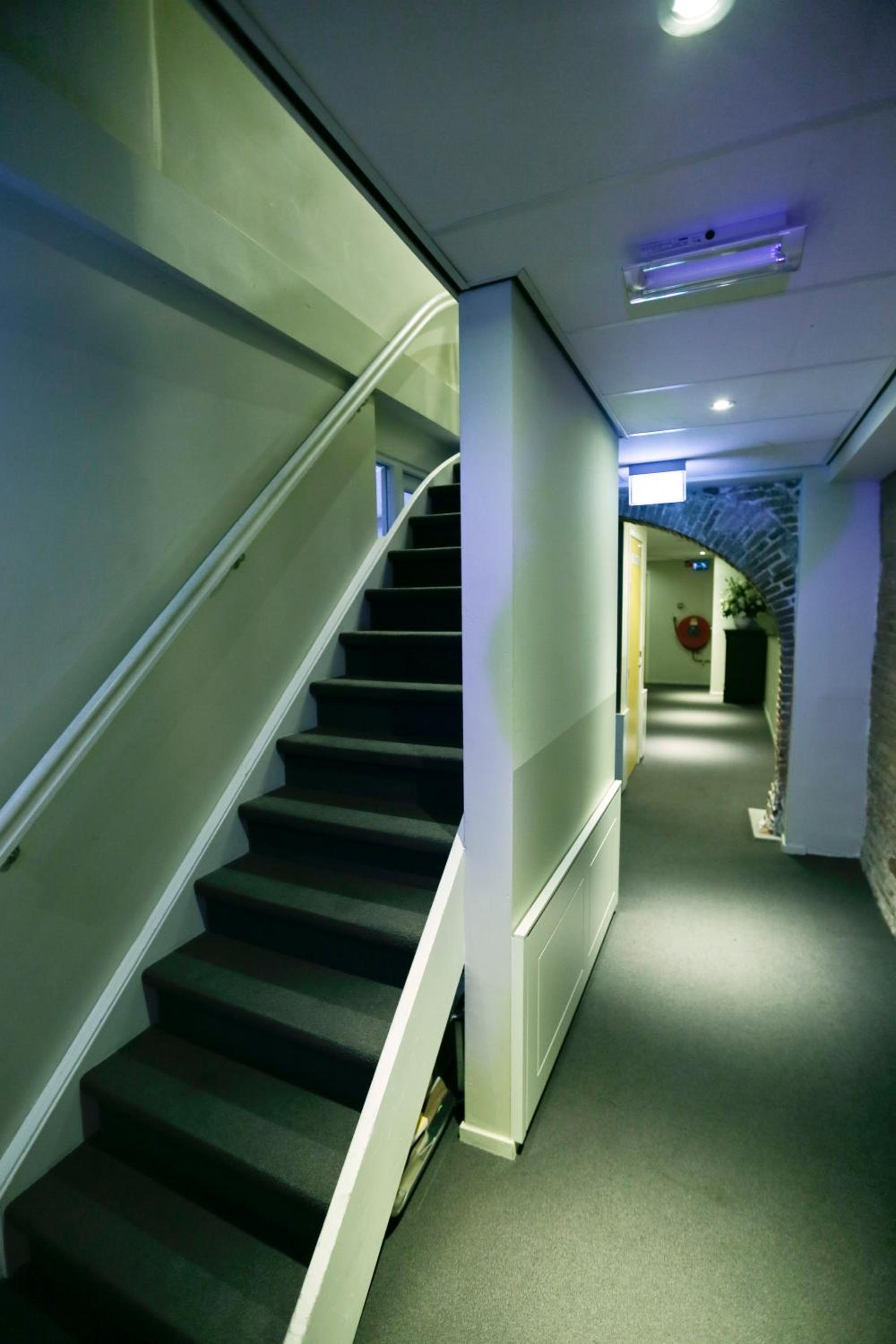 Basic Triple Room