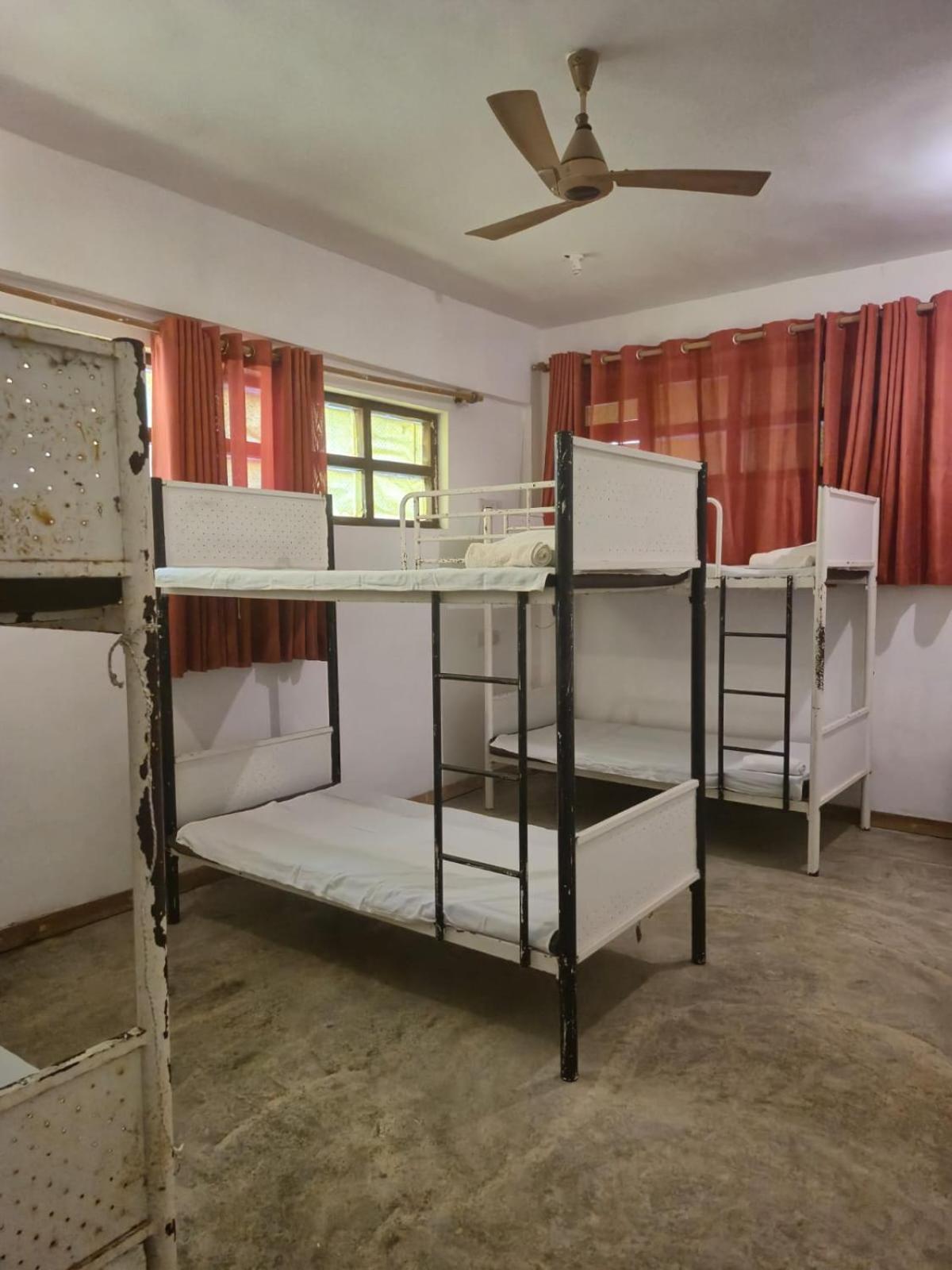 Bed in 6-Bed Dormitory Room