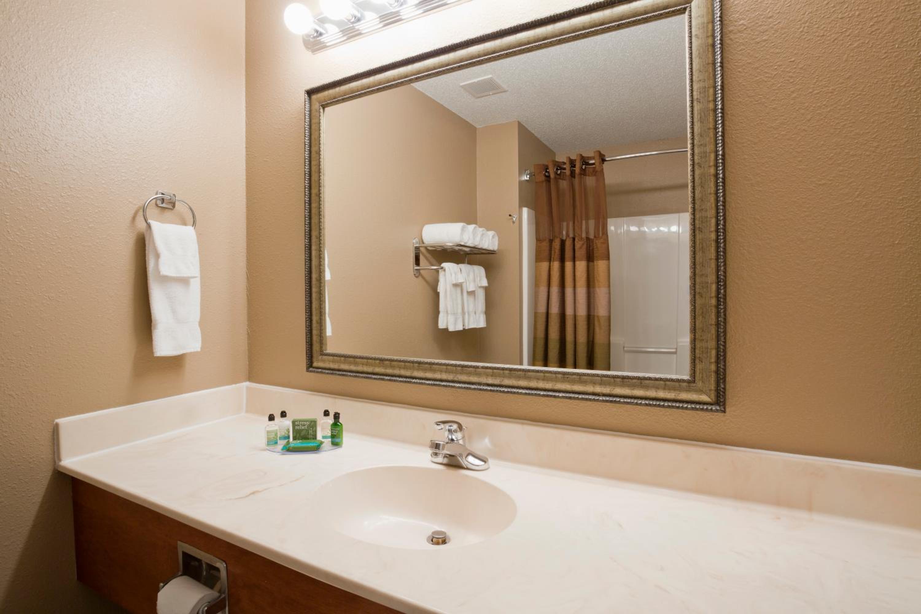 One Bedroom Queen Suite- Non Smoking - Photo 4