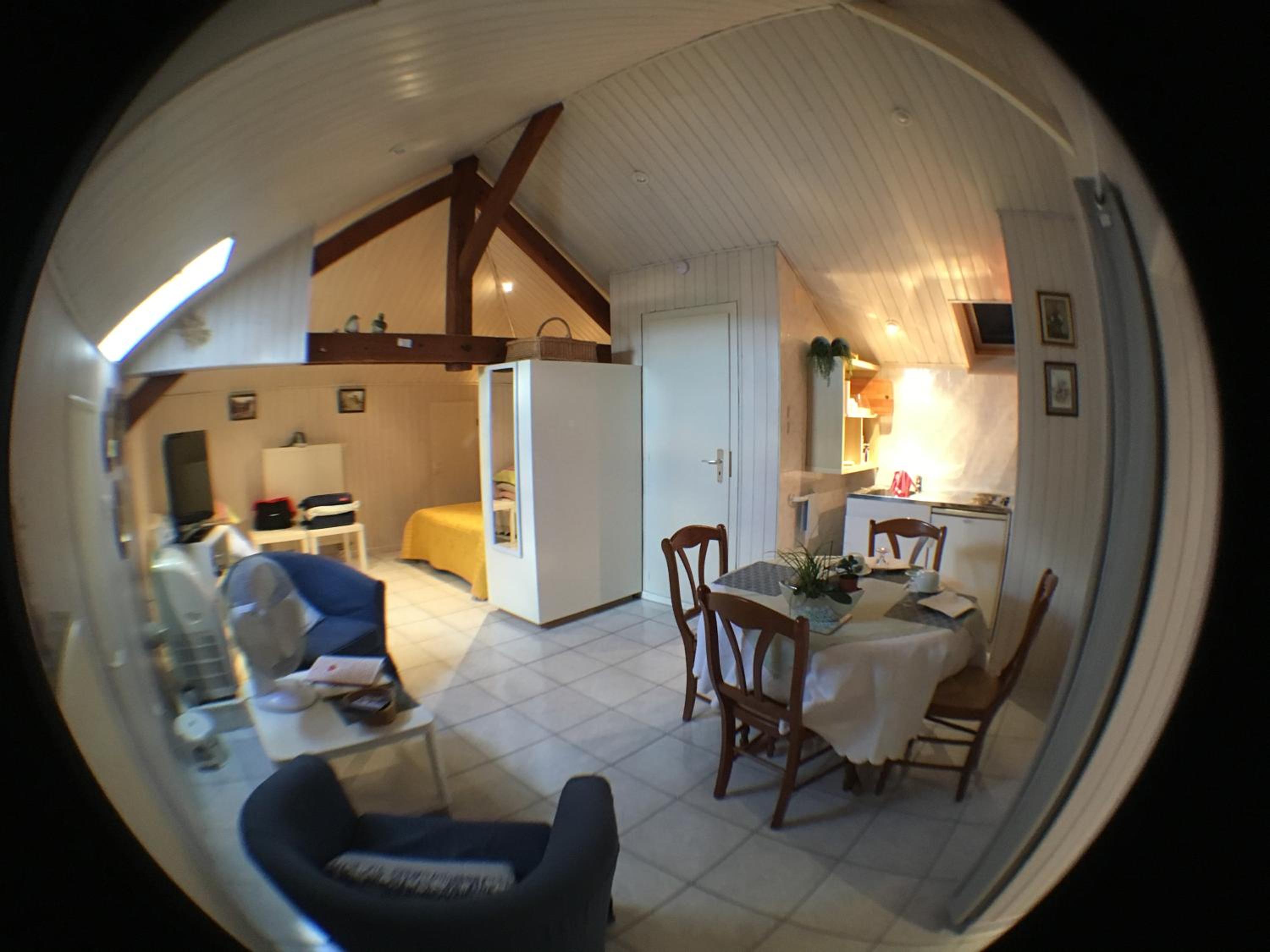 Studio Apartment