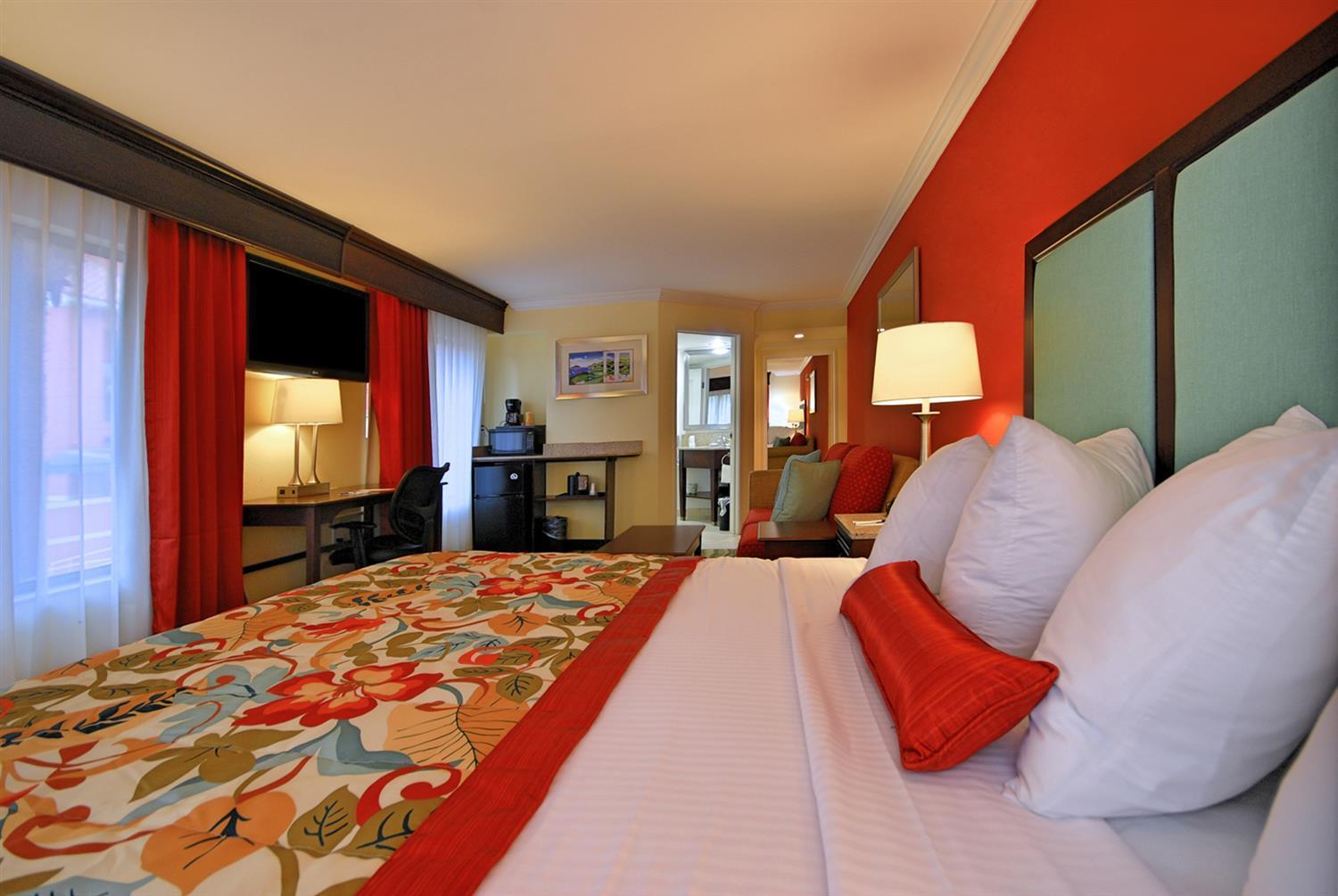 One-Bedroom King Suite with Walk-In Shower and Sofa Bed - Disability/Non-Smoking