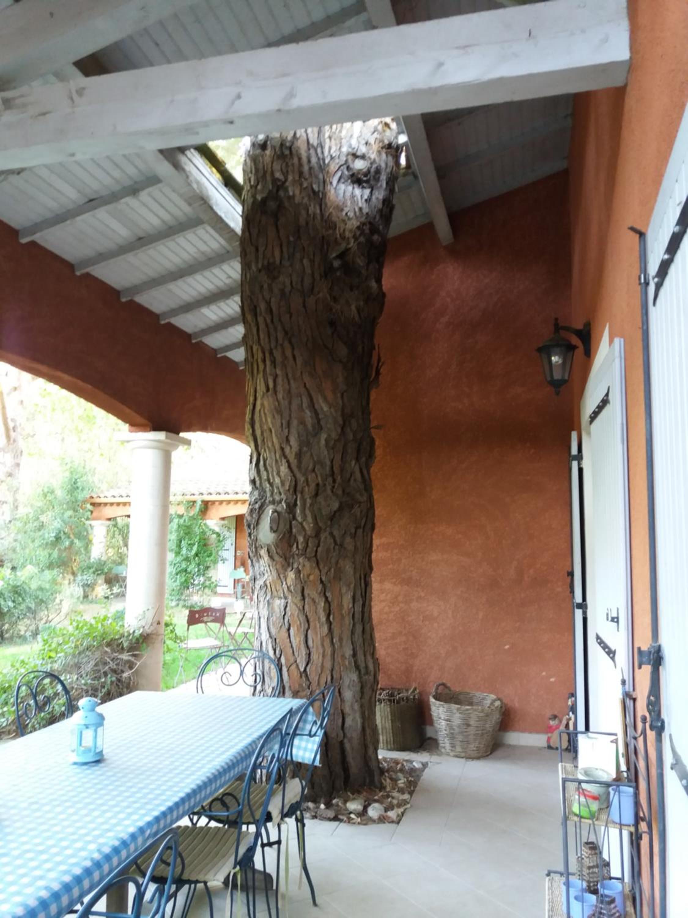Twin Room with Garden View photo 3