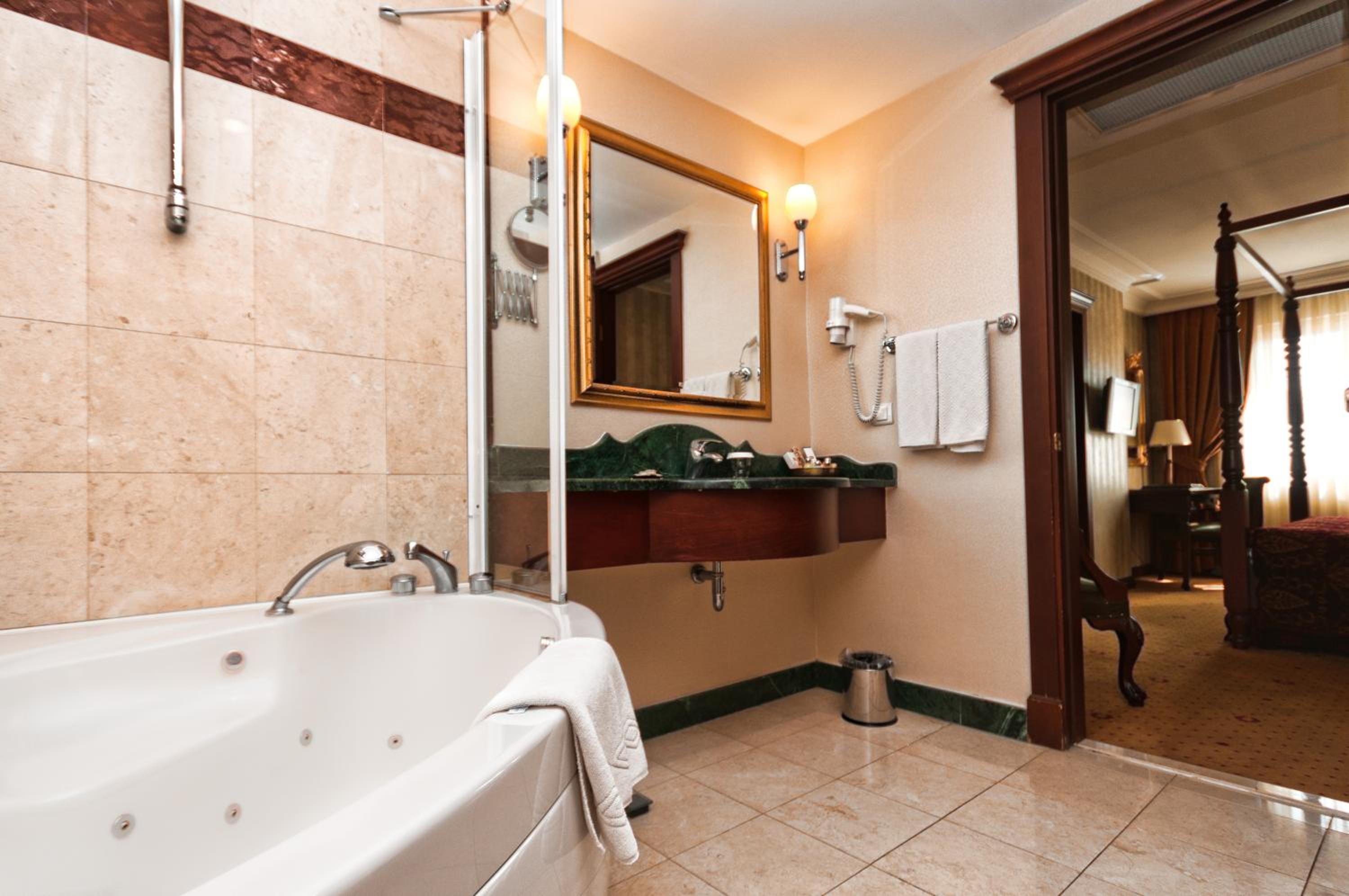 Deluxe King Suite - Photo 14